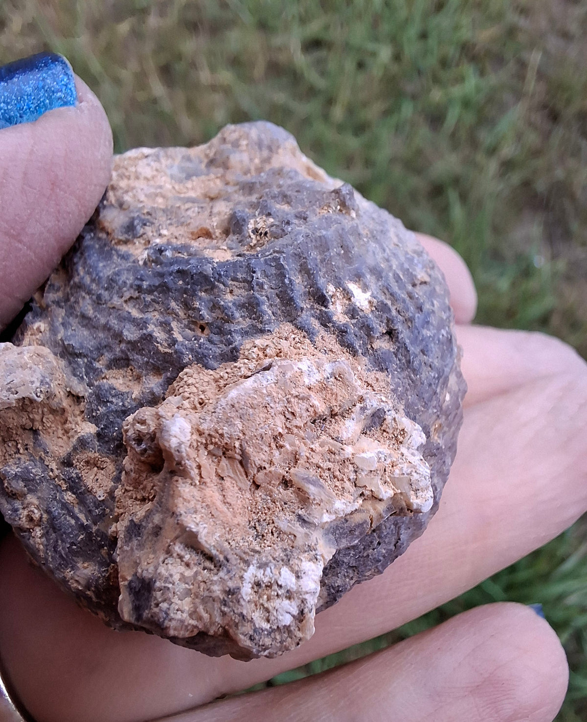 Chalcedony Oyster, Fossil (Ref: FO3)