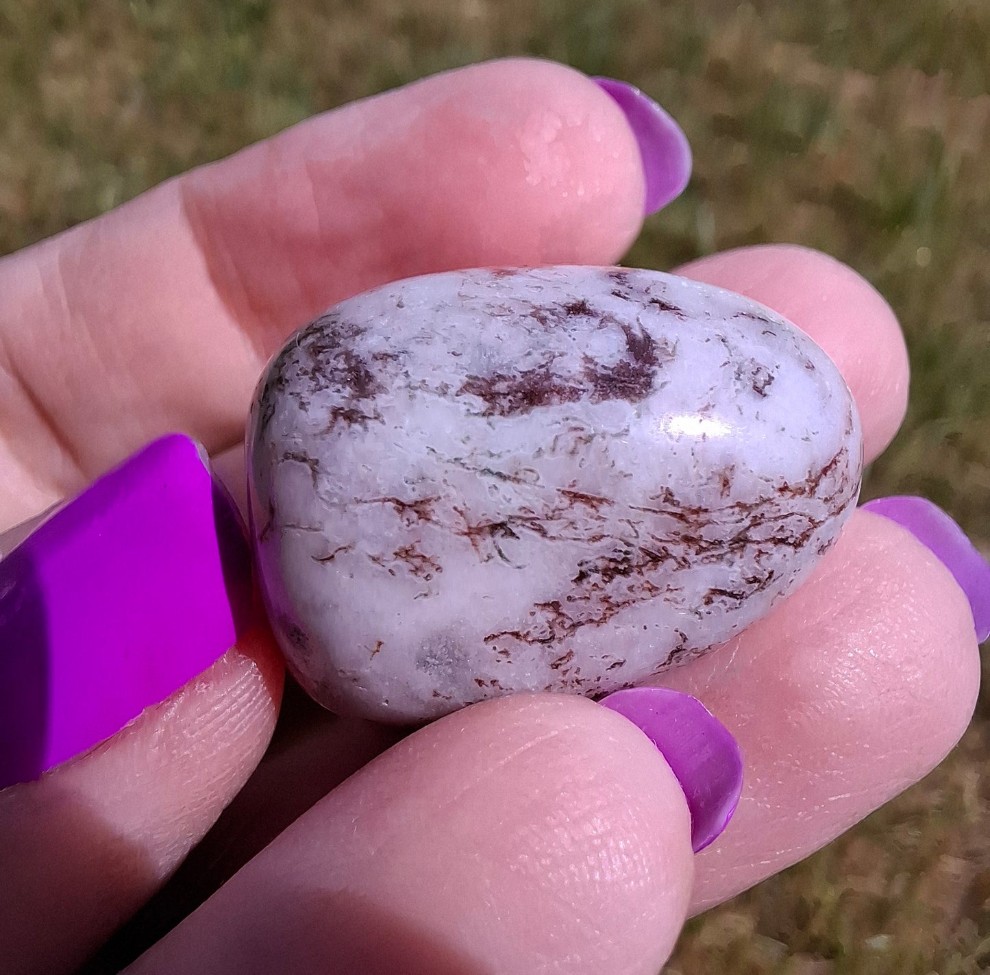 Tree Agate, Tumble Stone, Crystal (Ref: T6)