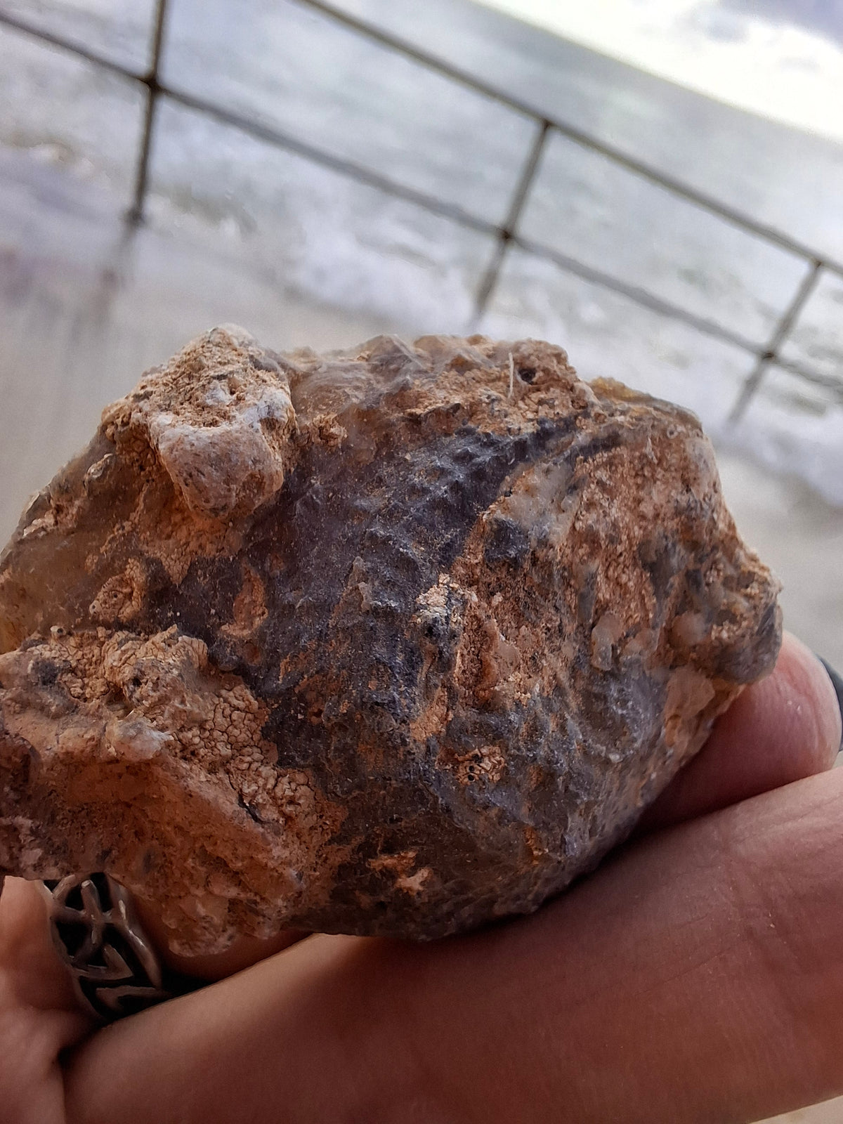 Chalcedony Oyster, Fossil (Ref: FO3)