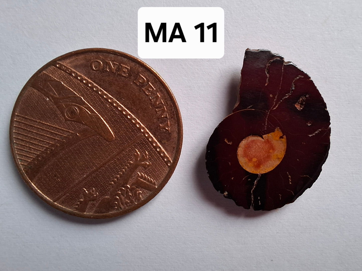 Small Haematite Ammonite HALF, 1.19g, Fossil (Ref: MA11)