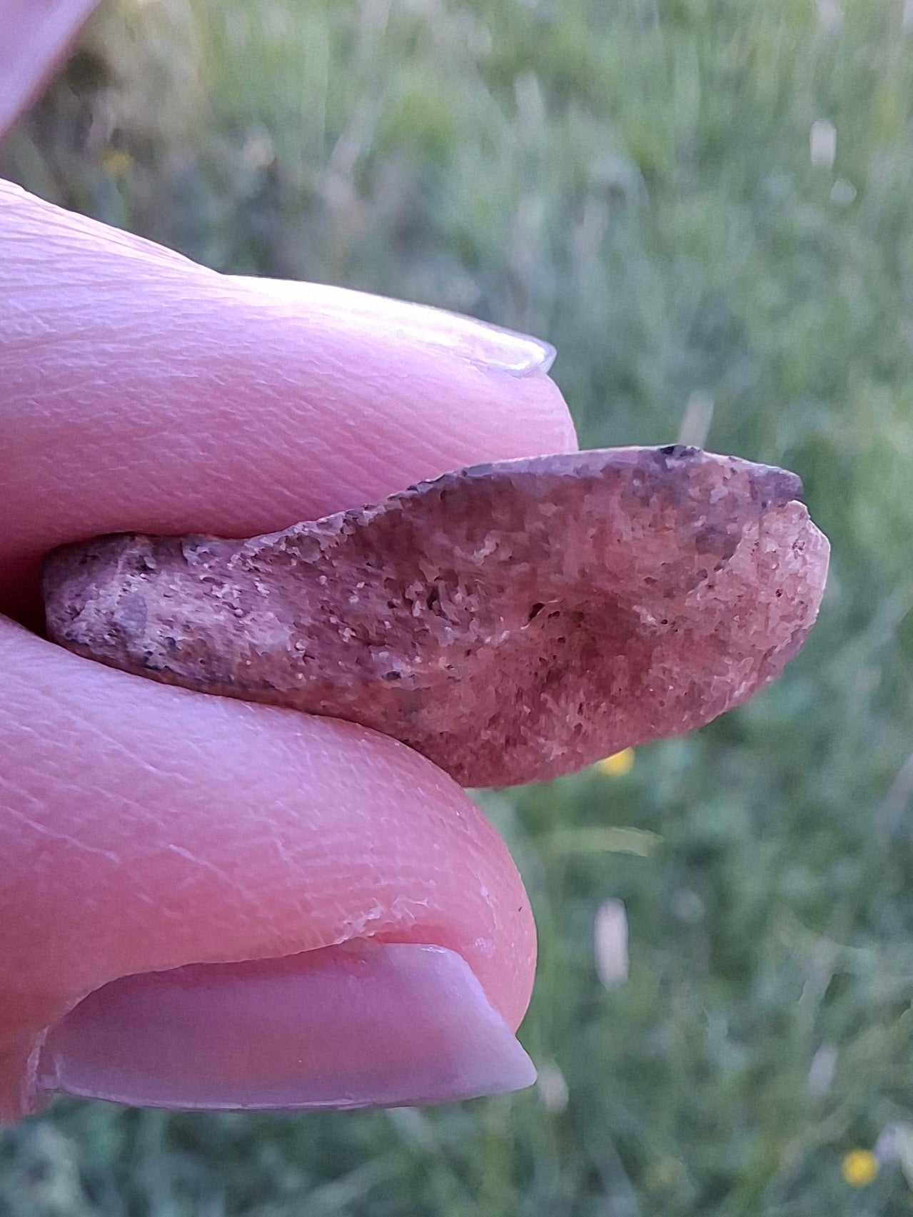 Small Haematite Ammonite HALF, 2.59g, Fossil (Ref: MA7)