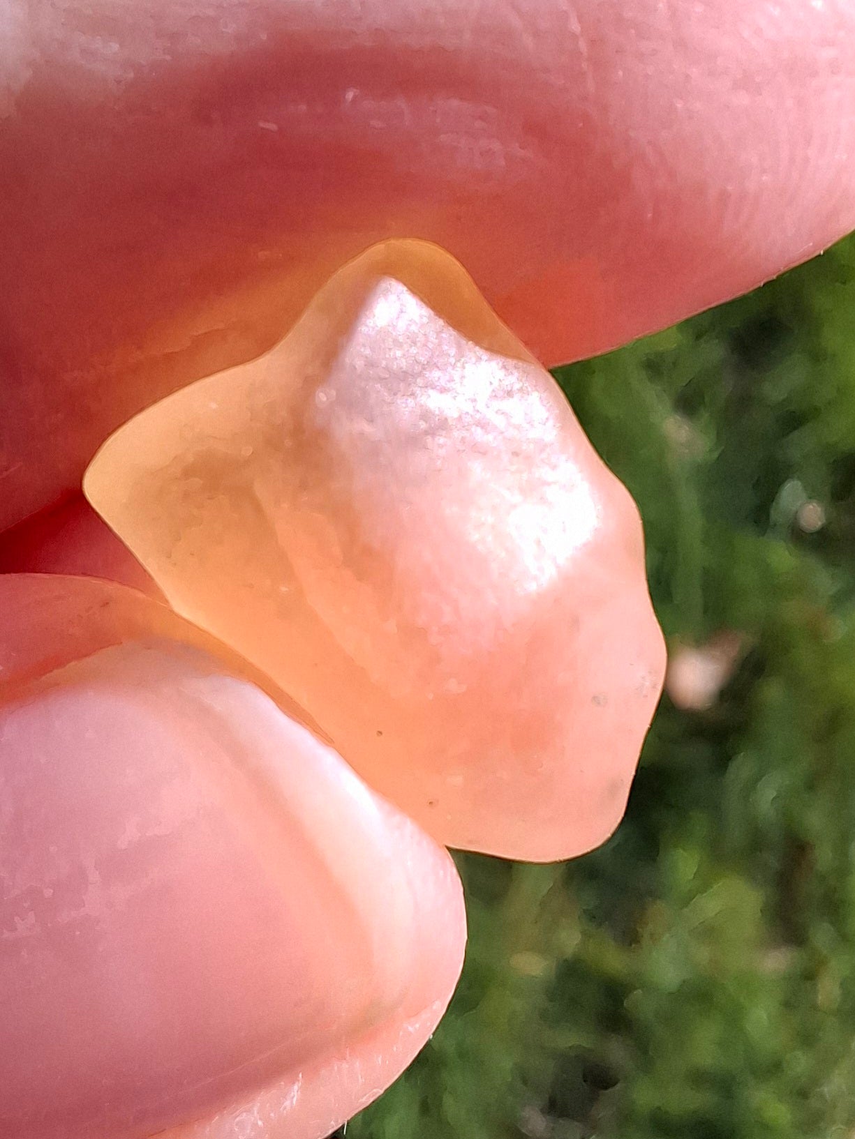 Libyan Desert Glass small Piece, 1.55g, Tektite (Ref: L1347)