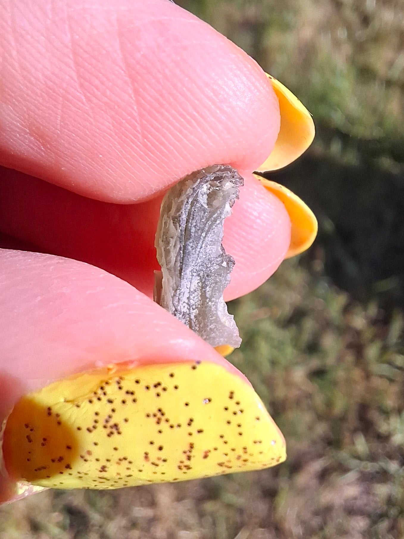 Moldavite Piece, 0.68g, Tektite (Ref: 1481)