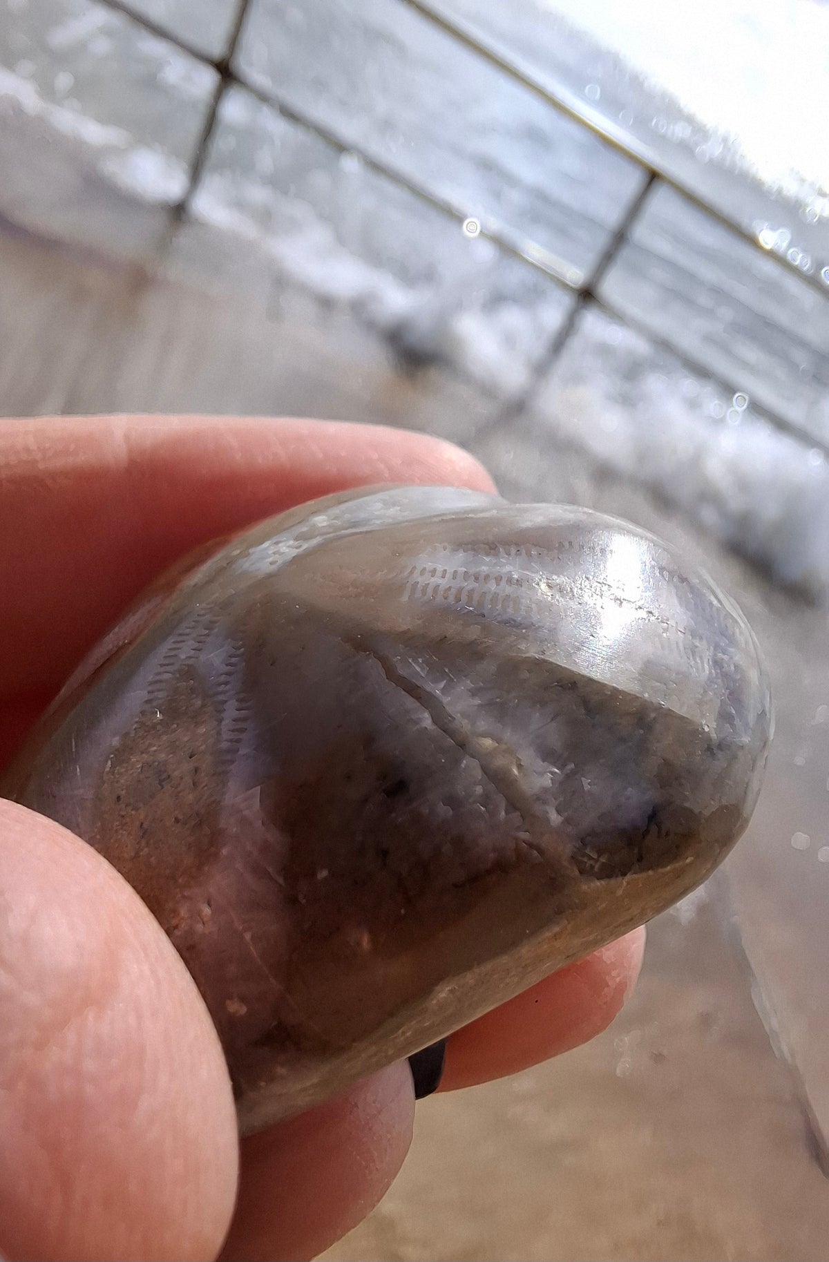 Polished Sea Urchin, Fossil (Ref: SU2)