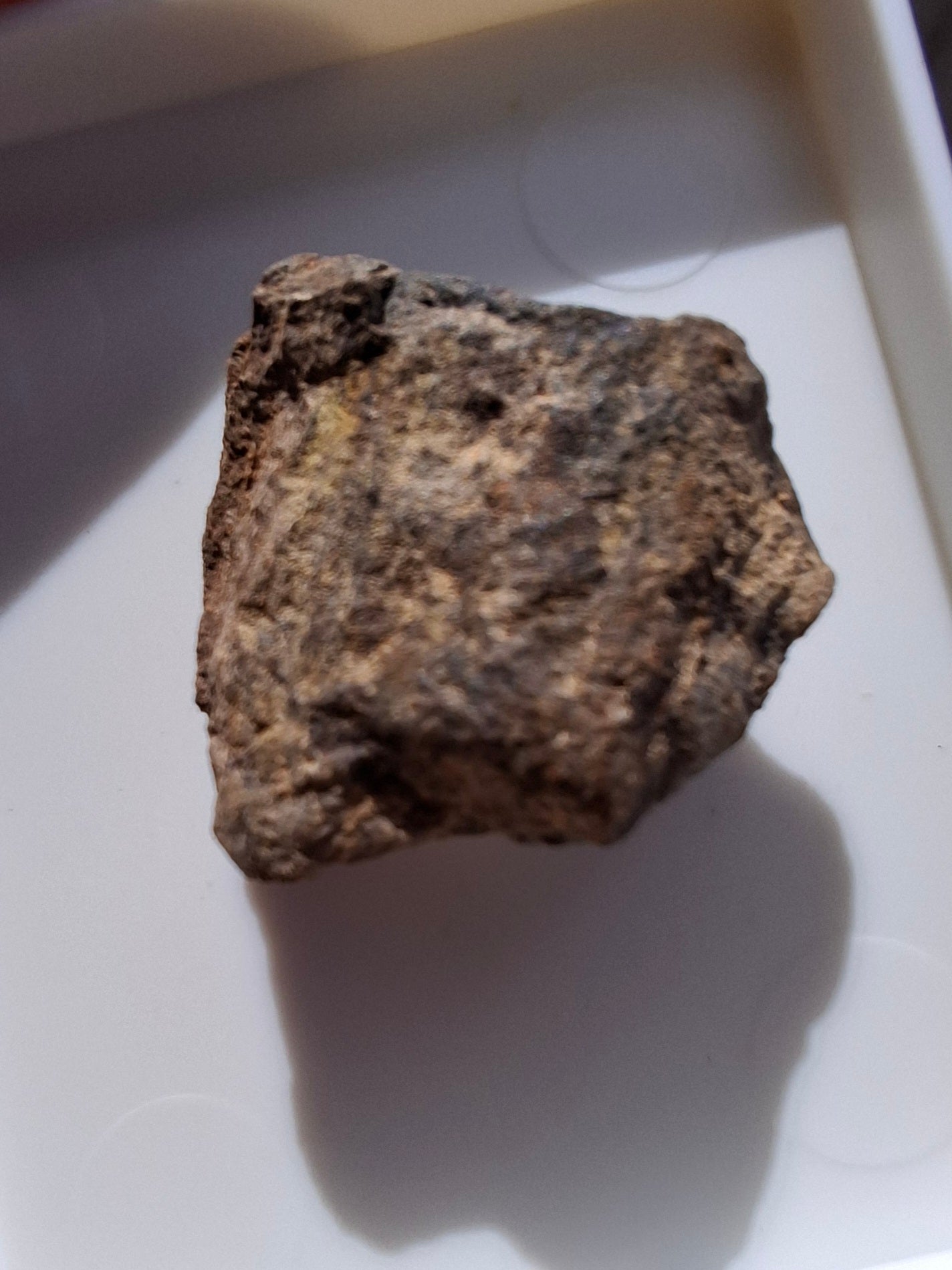 Chondrite, Meteorite (Ref: CM6)