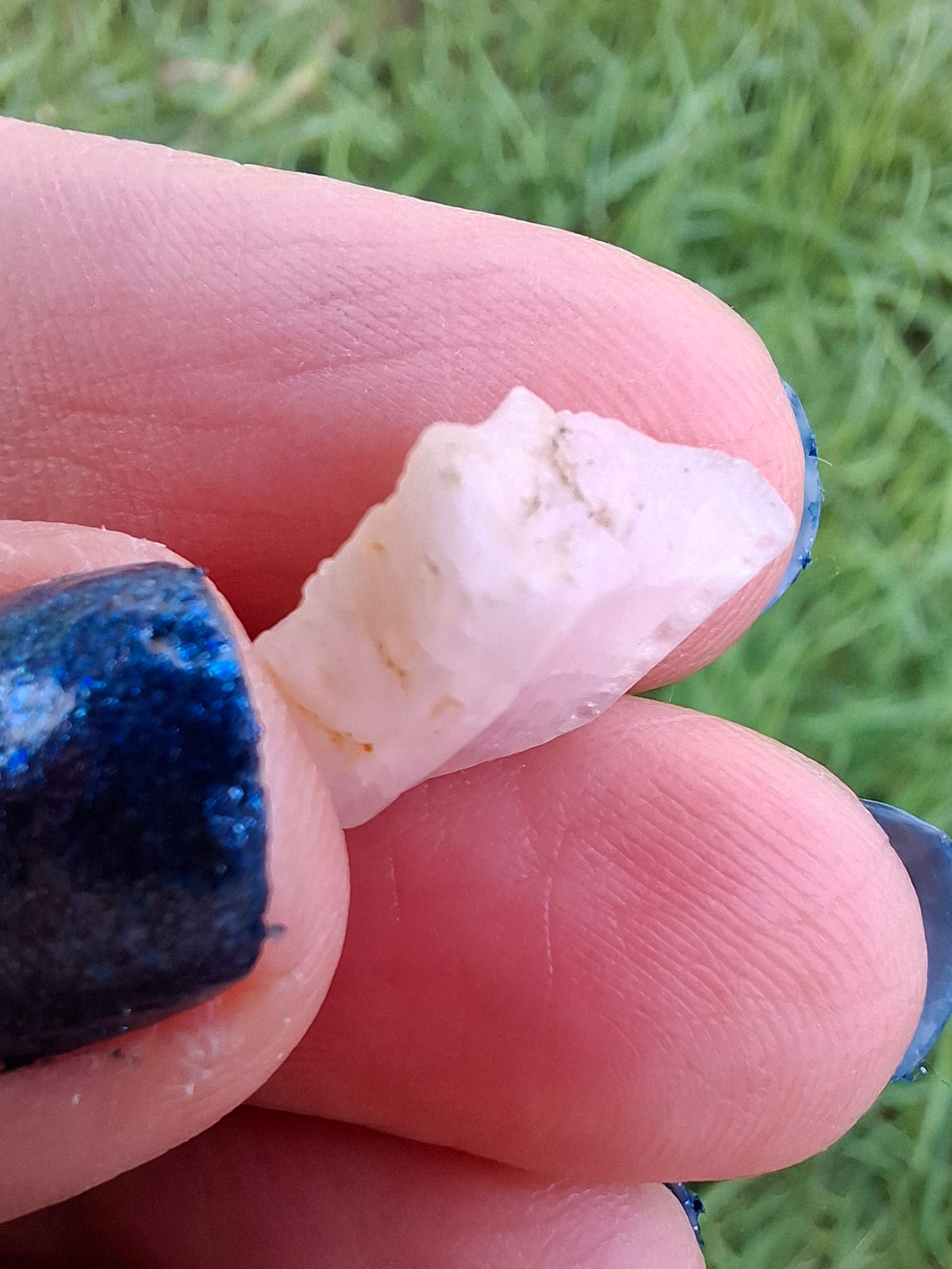 Morganite, 1.46g, Crystal (Ref: MO2)
