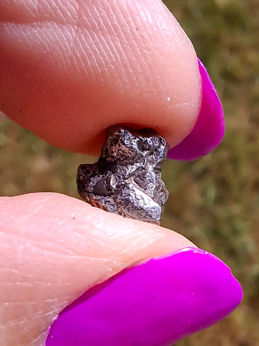Campo del Cielo, 1.18g, Nickel Iron Meteorite (Ref: C10)
