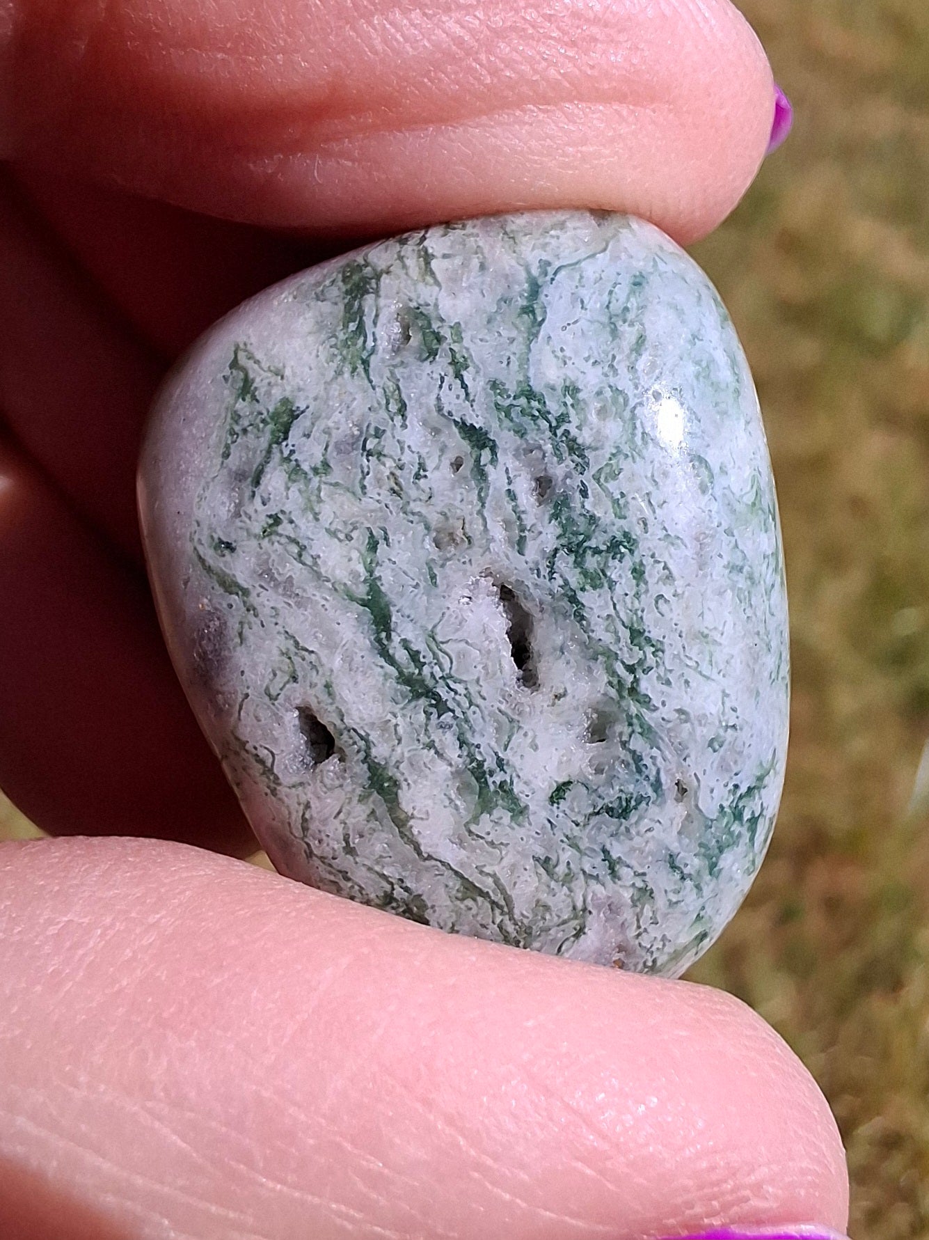 Tree Agate, Tumble Stone, Crystal (Ref: T7)