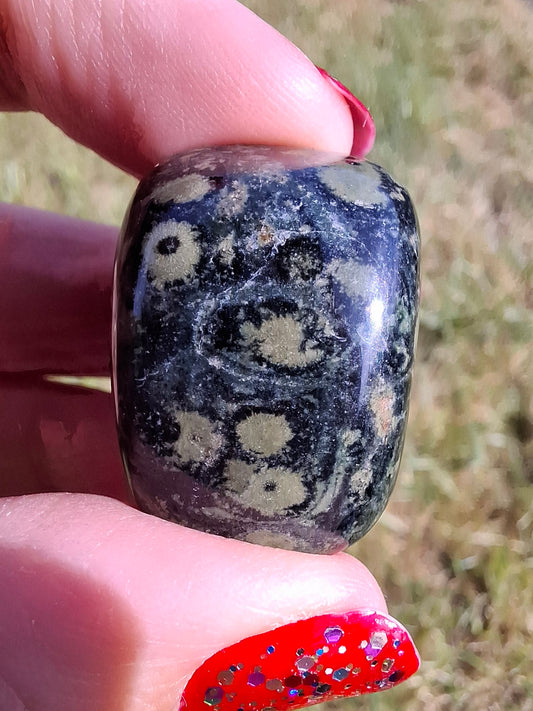Kambaba Jasper, Tumble Stone, Crystal (Ref: T163)