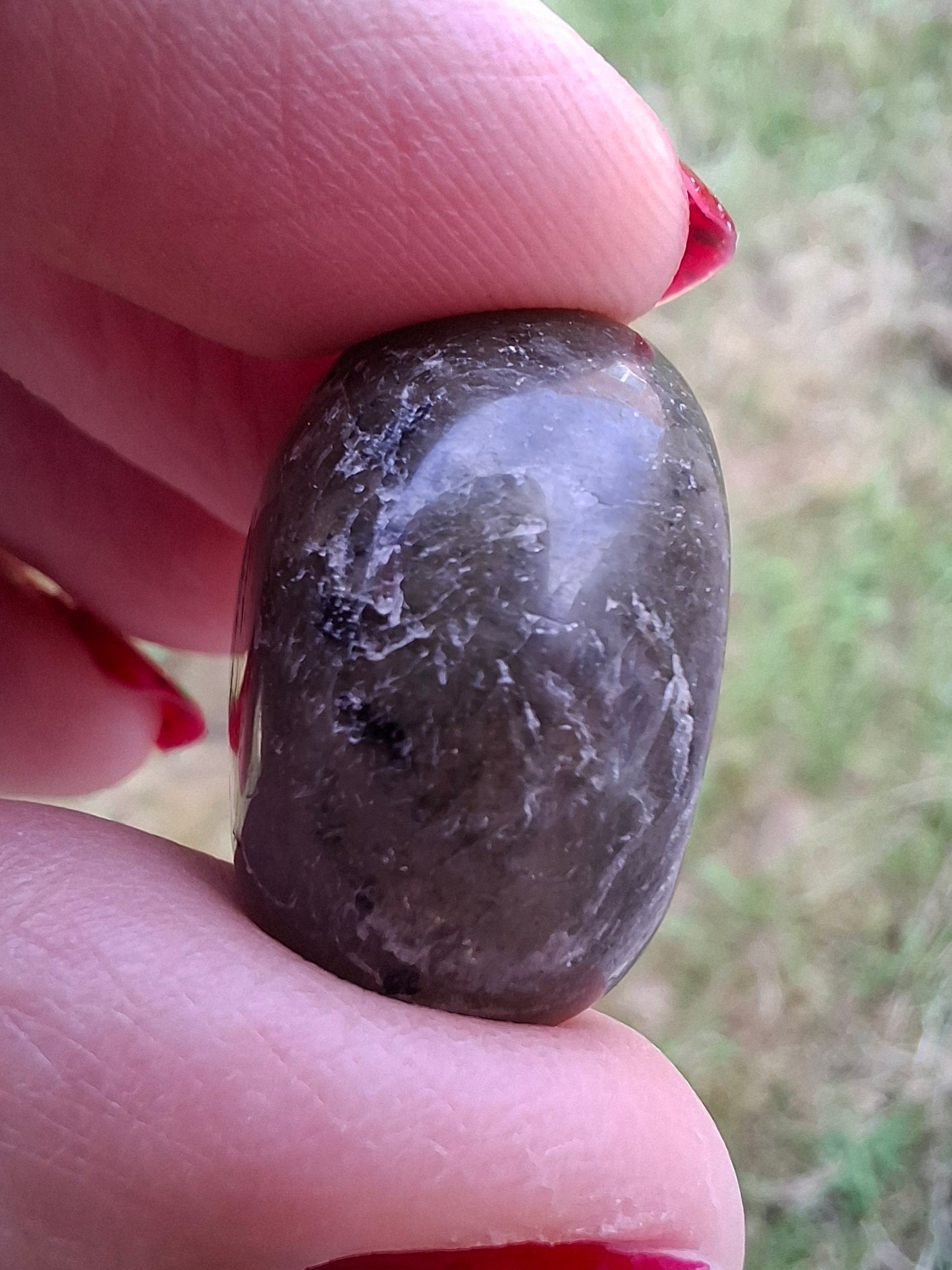 Labradorite, Tumble Stone, Crystal (Ref: T208)