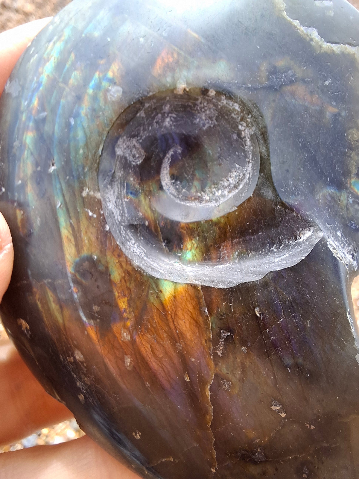 Labradorite Ammonite Carving, 160.21g, Crystal (Ref: laba4)