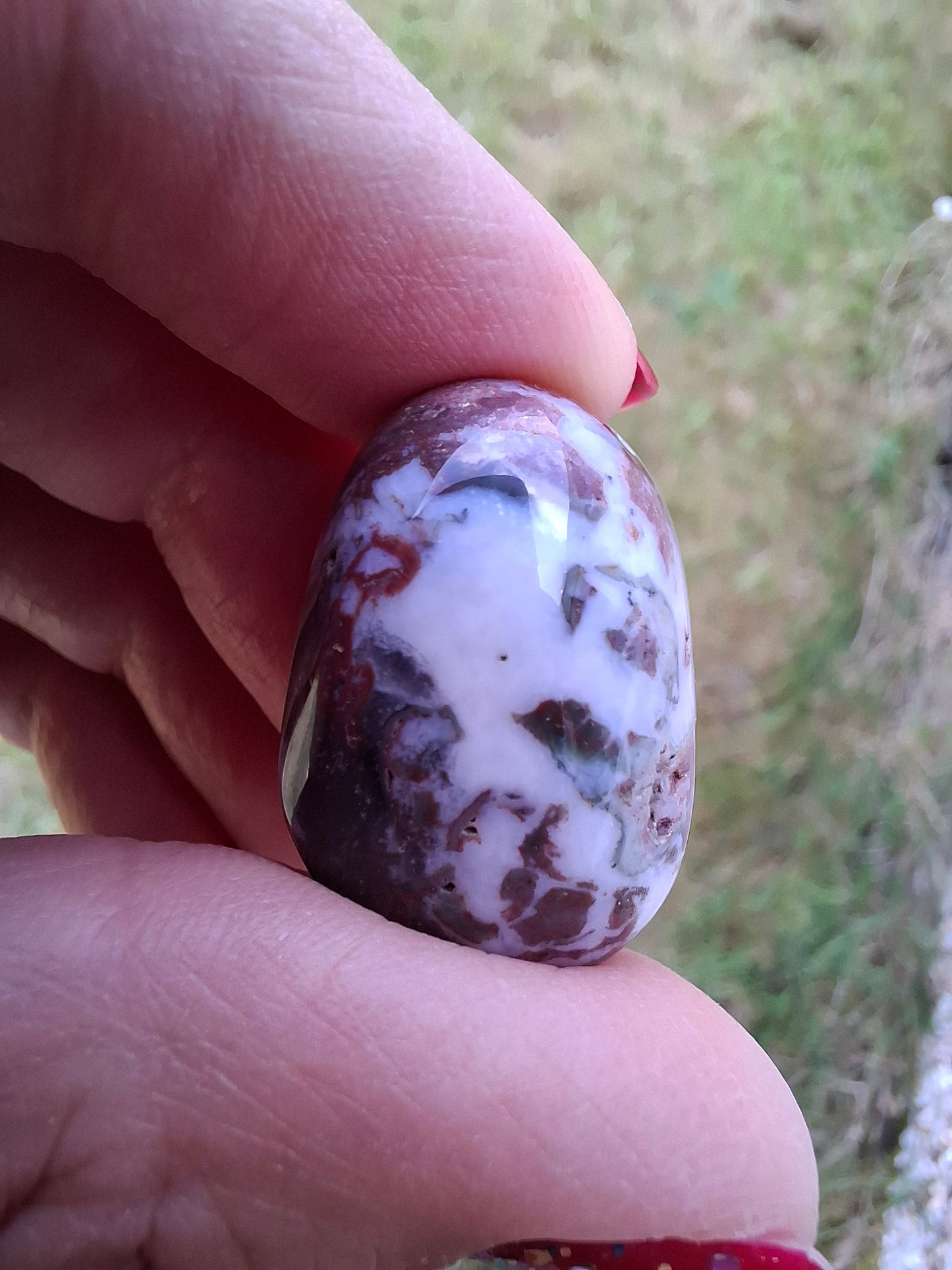 Ocean Jasper, Tumble Stone, Crystal (Ref: T198)