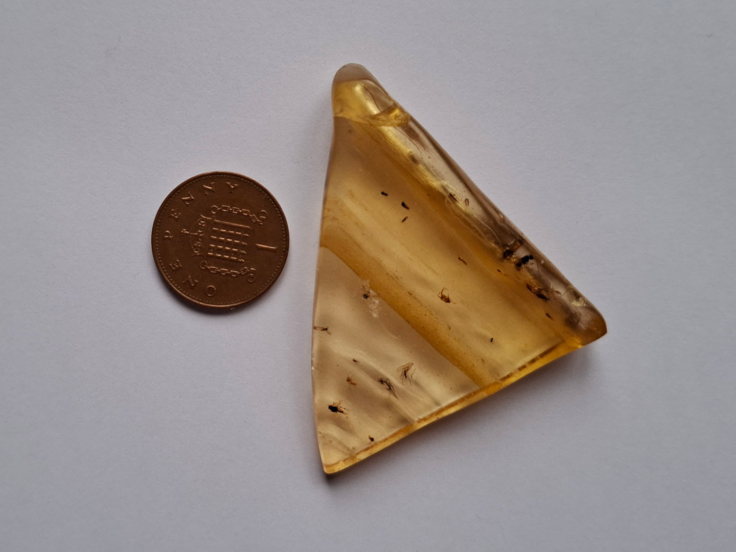 Copal Young Amber with INSECTS inside, 8.39g, Fossil (Ref: CA31)