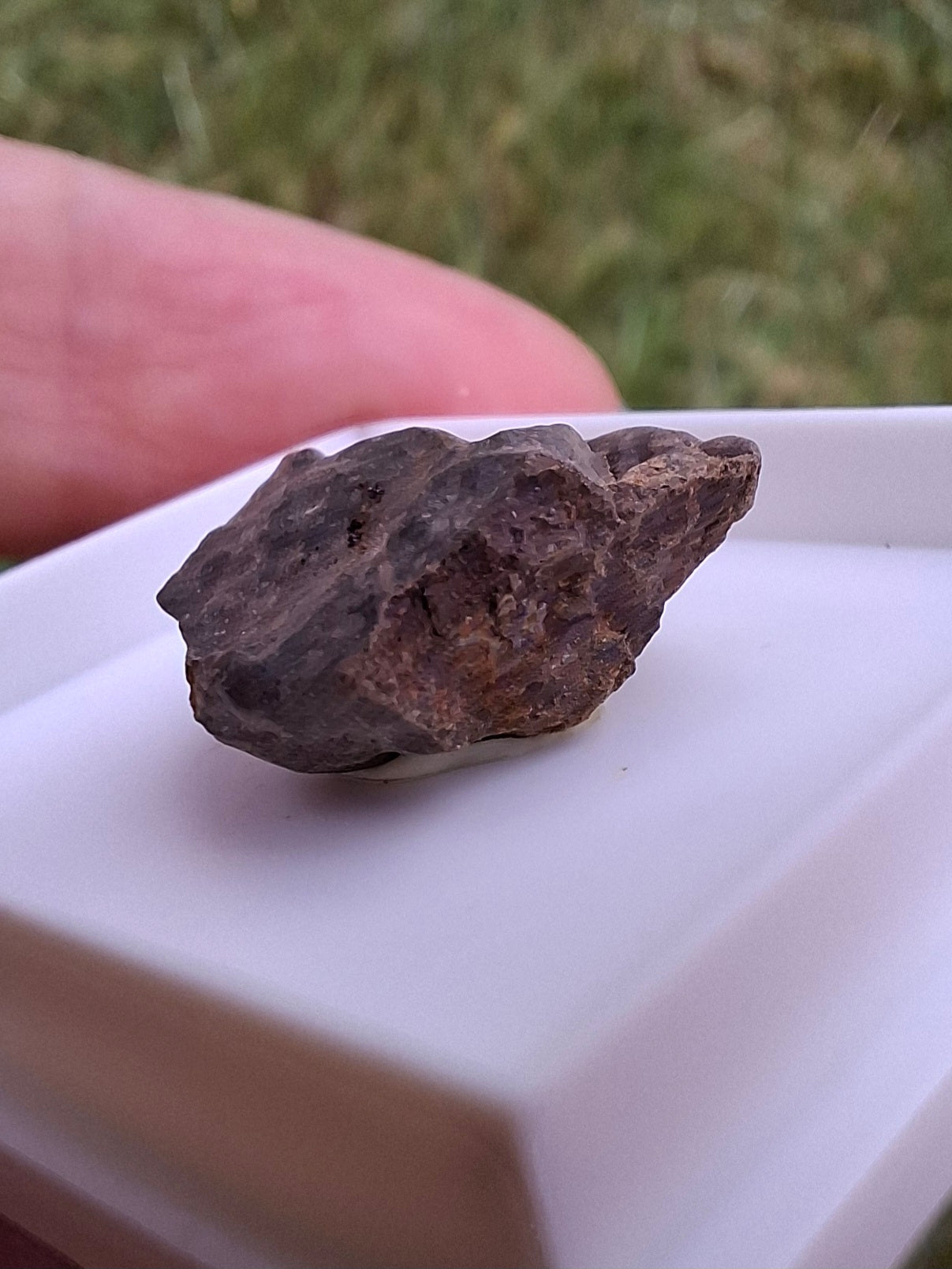 Chondrite, Meteorite (Ref: CM10)