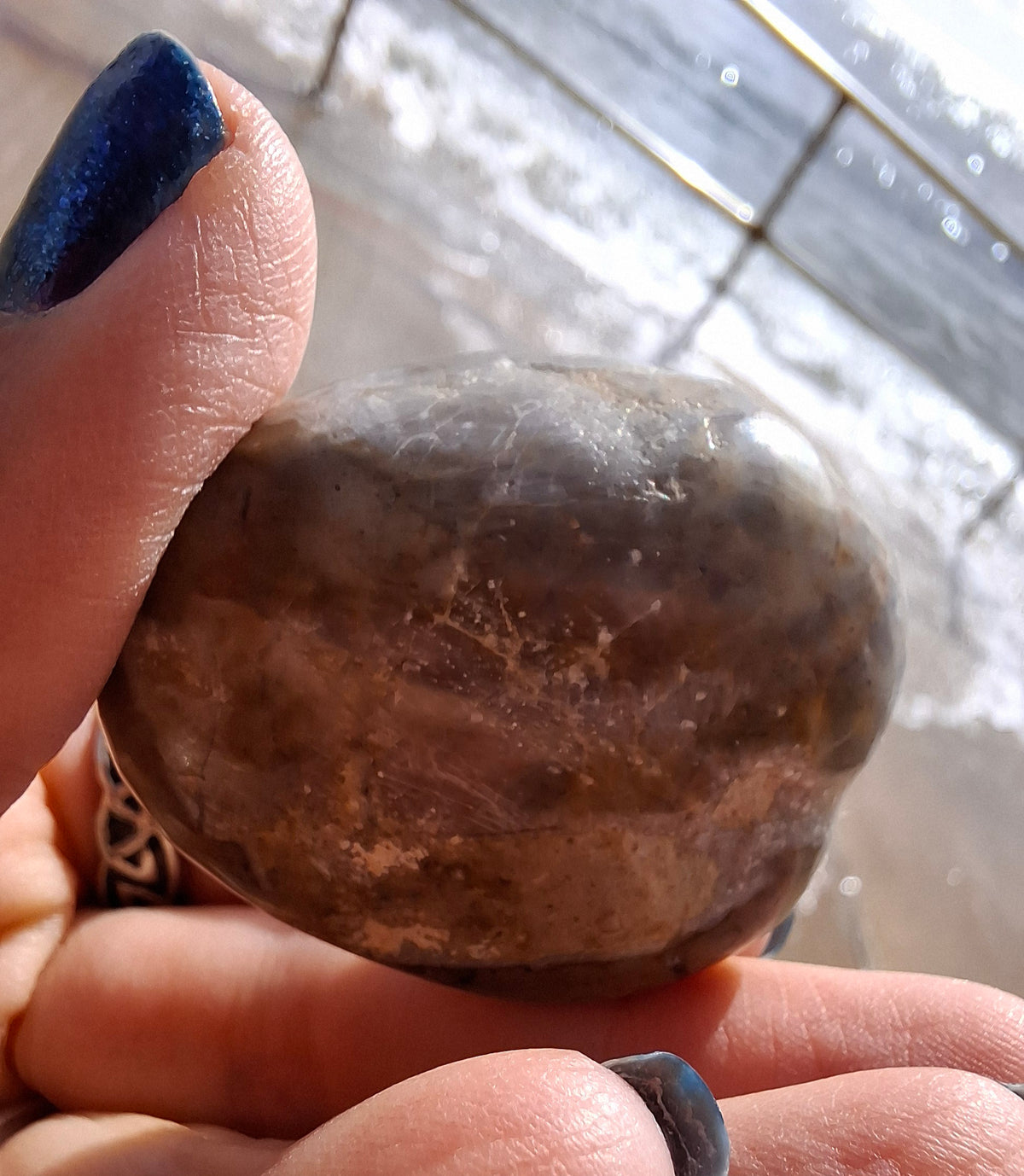 Polished Sea Urchin, Fossil (Ref: SU2)