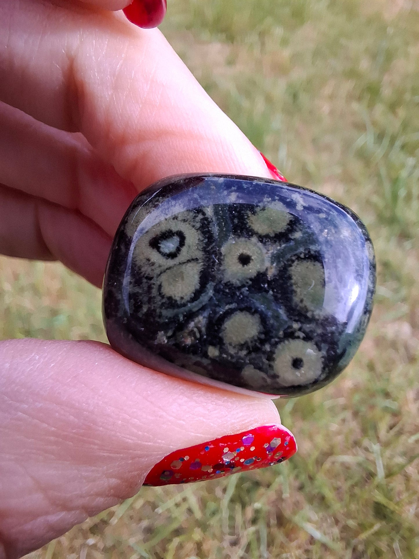 Kambaba Jasper, Tumble Stone, Crystal (Ref: T163)