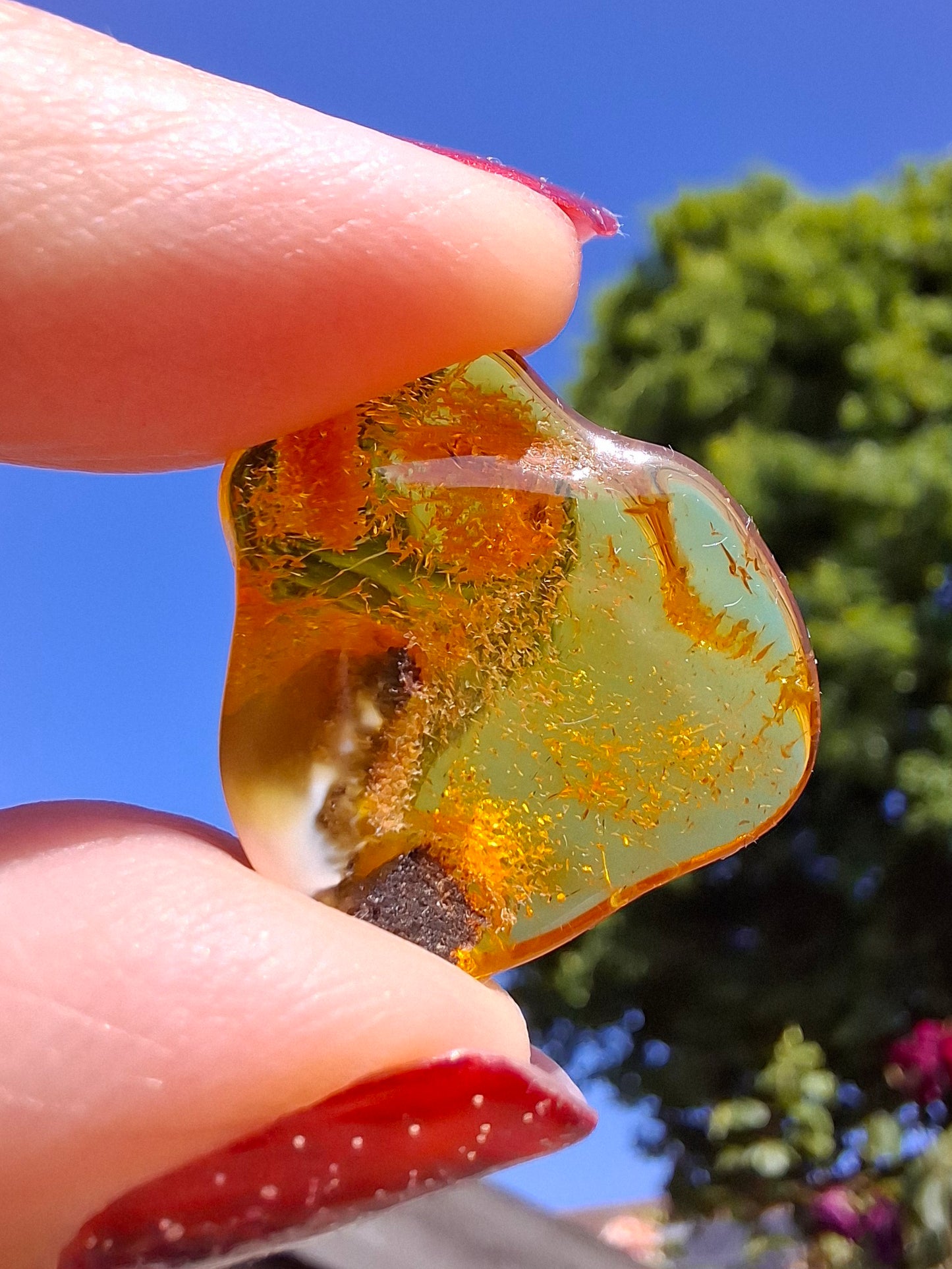 Baltic Amber, 1.45g, Fossil (Ref: A76)