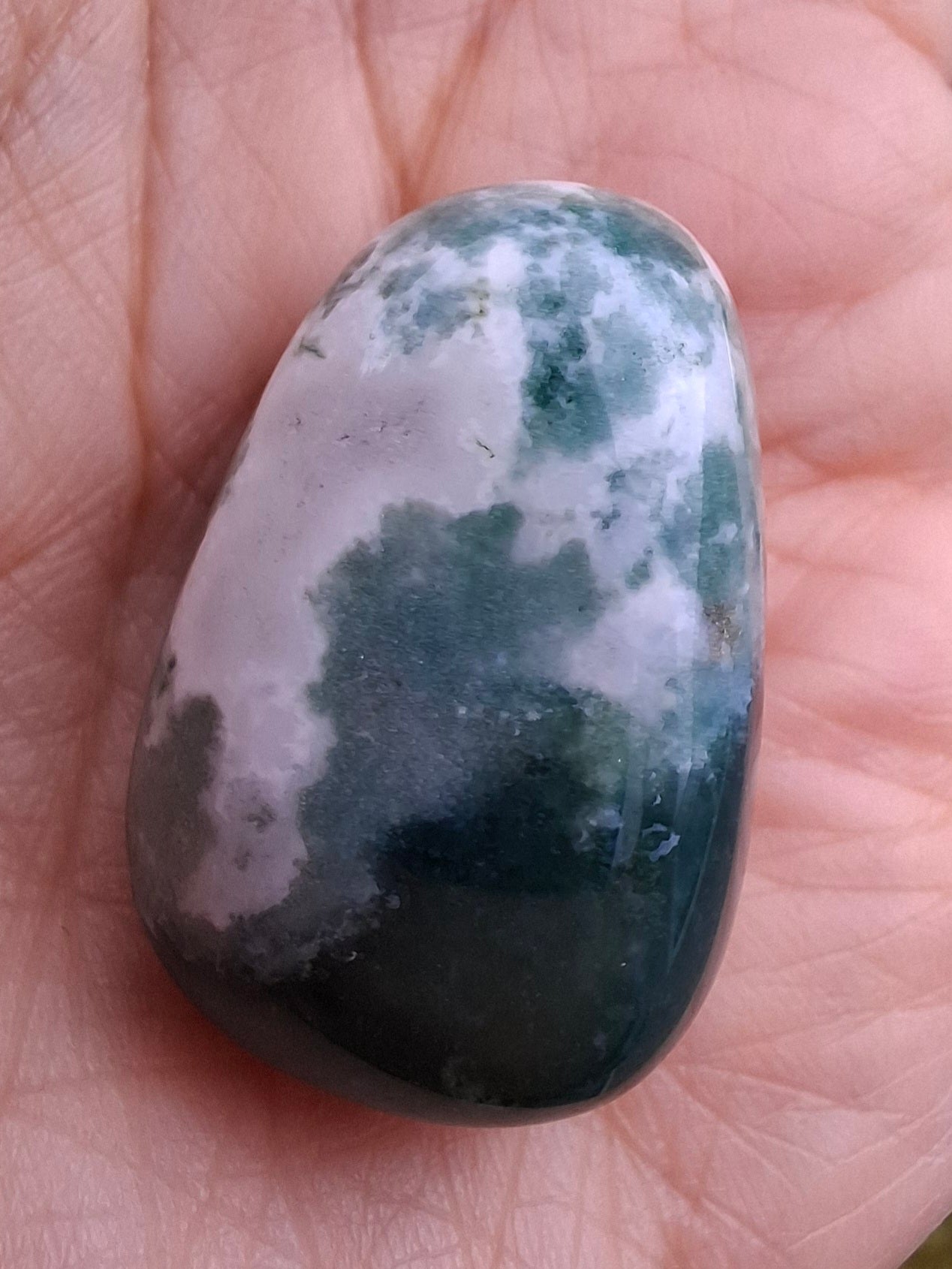 Tree Agate, Tumble Stone, Crystal (Ref: T4)