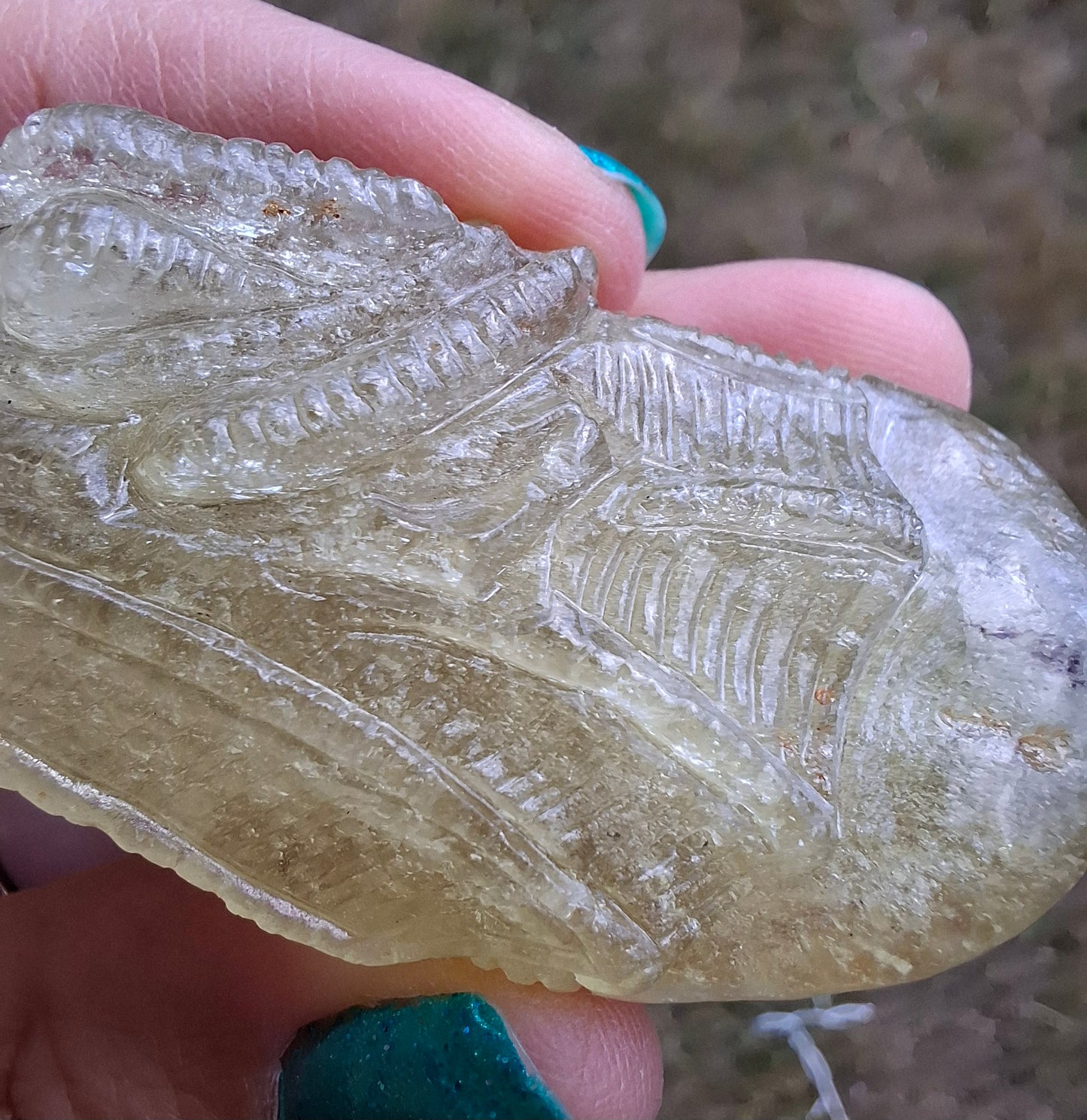 Libyan Desert Glass DRAGON HEAD carving, 48.11g, Tektite (Ref: Dragon4)