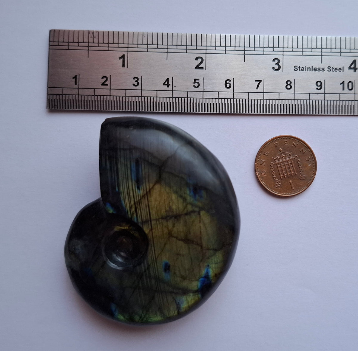 Labradorite Ammonite carving, 96.88g, Crystal (Ref: laba1)