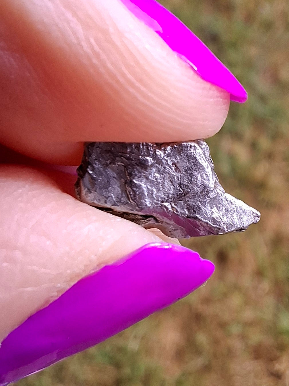 Campo del Cielo, 0.55g, Nickel Iron Meteorite (Ref: C3)