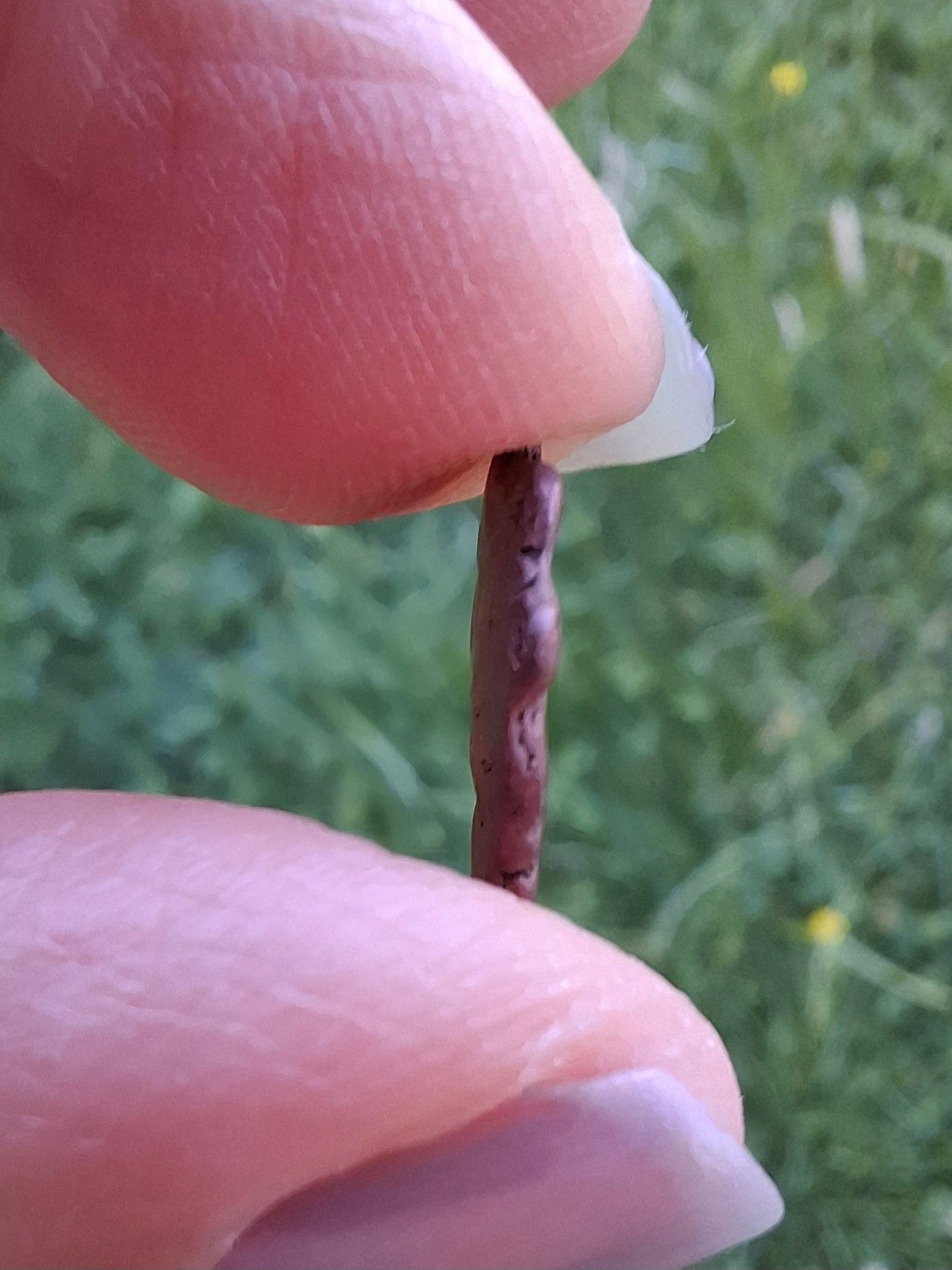 Native Copper Nugget, 1.00g, (Ref: COP5)