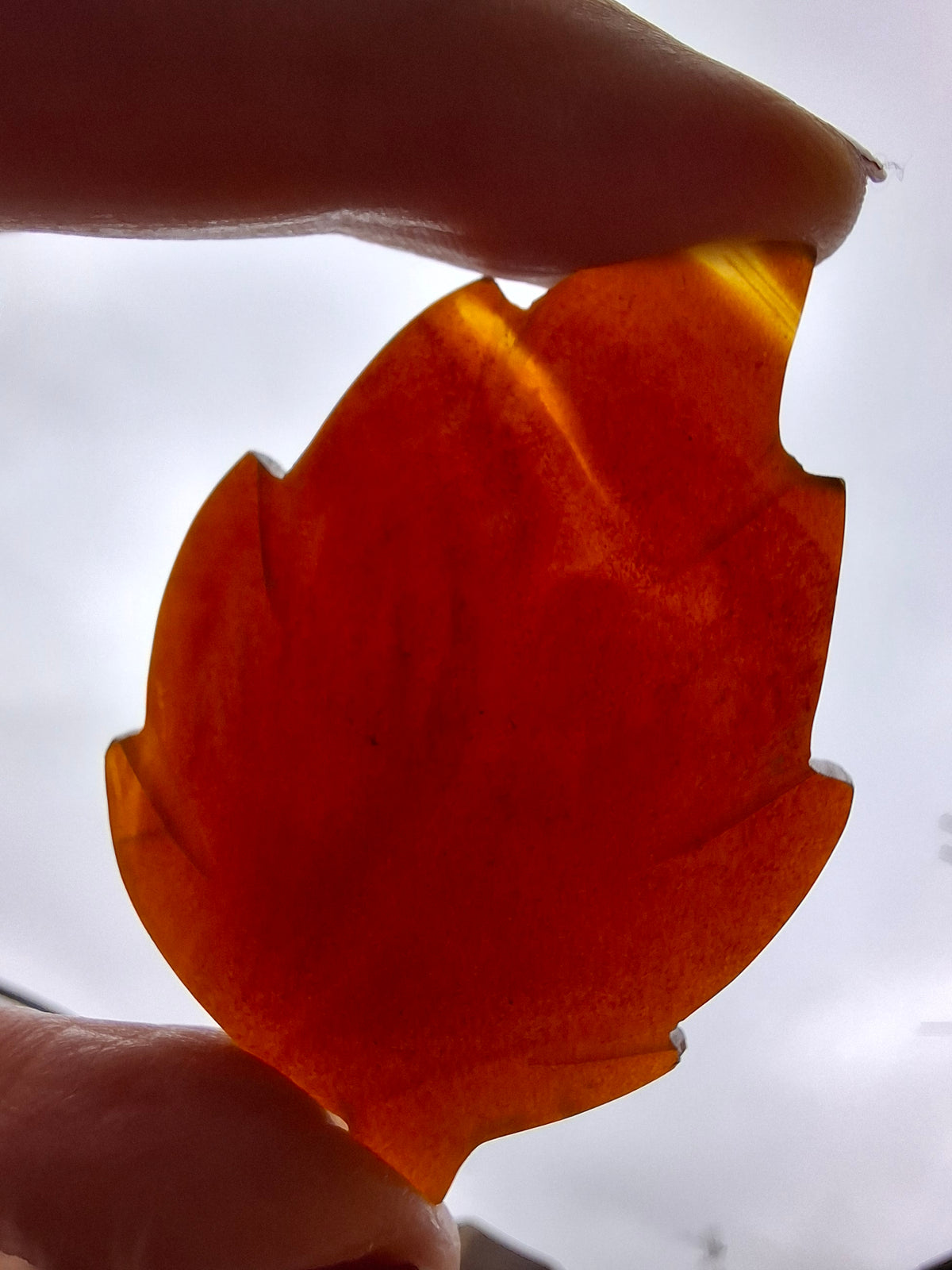 Red Amber Leaf Carving, 8.45g, Fossil (Ref: Leaf1)
