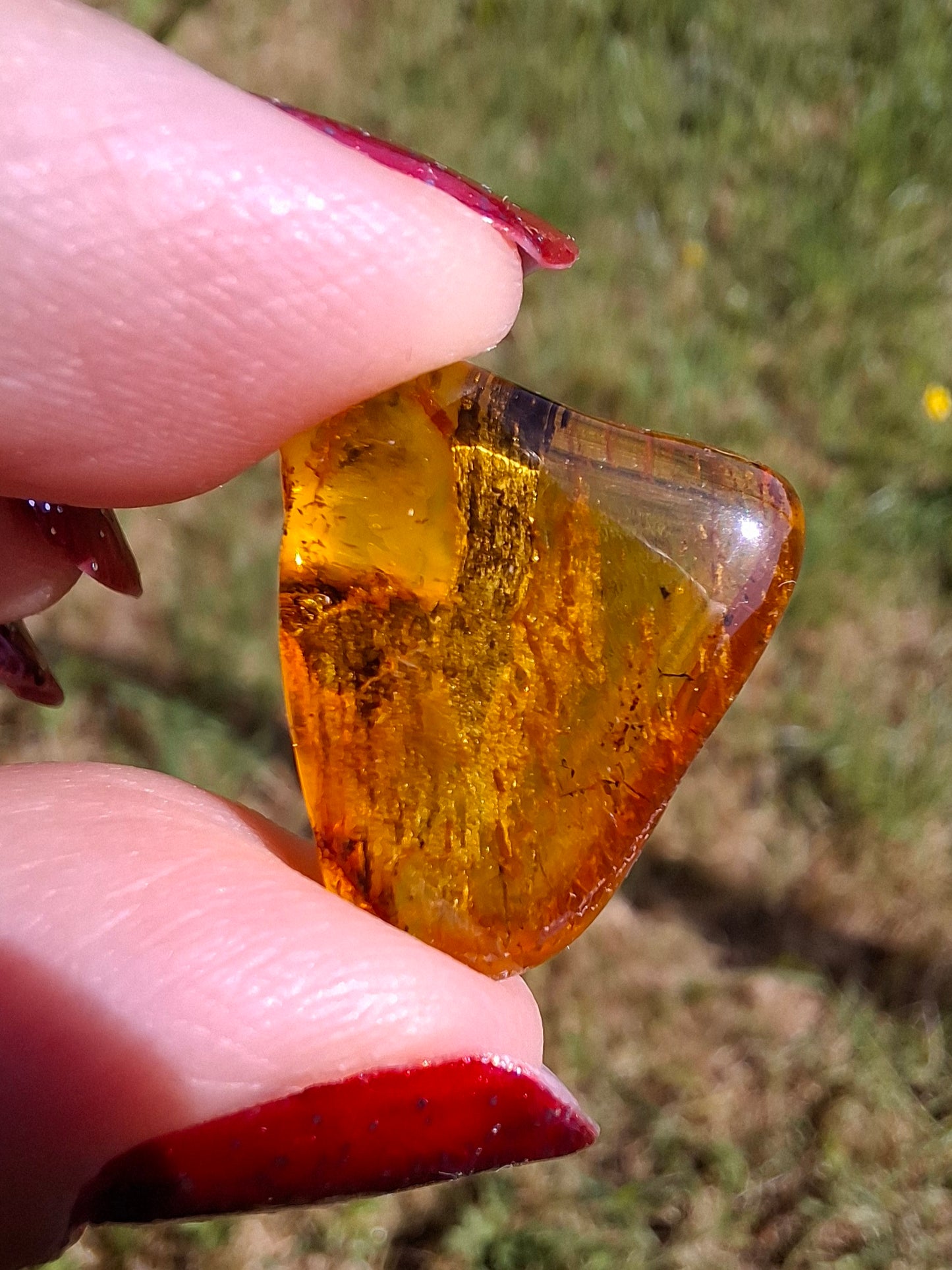 Baltic Amber, 1.61g, Fossil (Ref: A186)