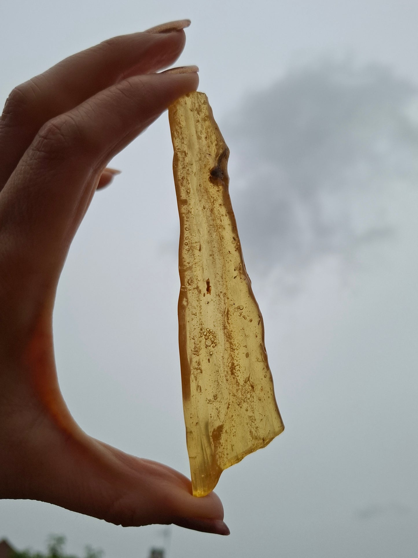 Copal Young Amber with INSECTS inside, 18.29g, Fossil (Ref: CA33)