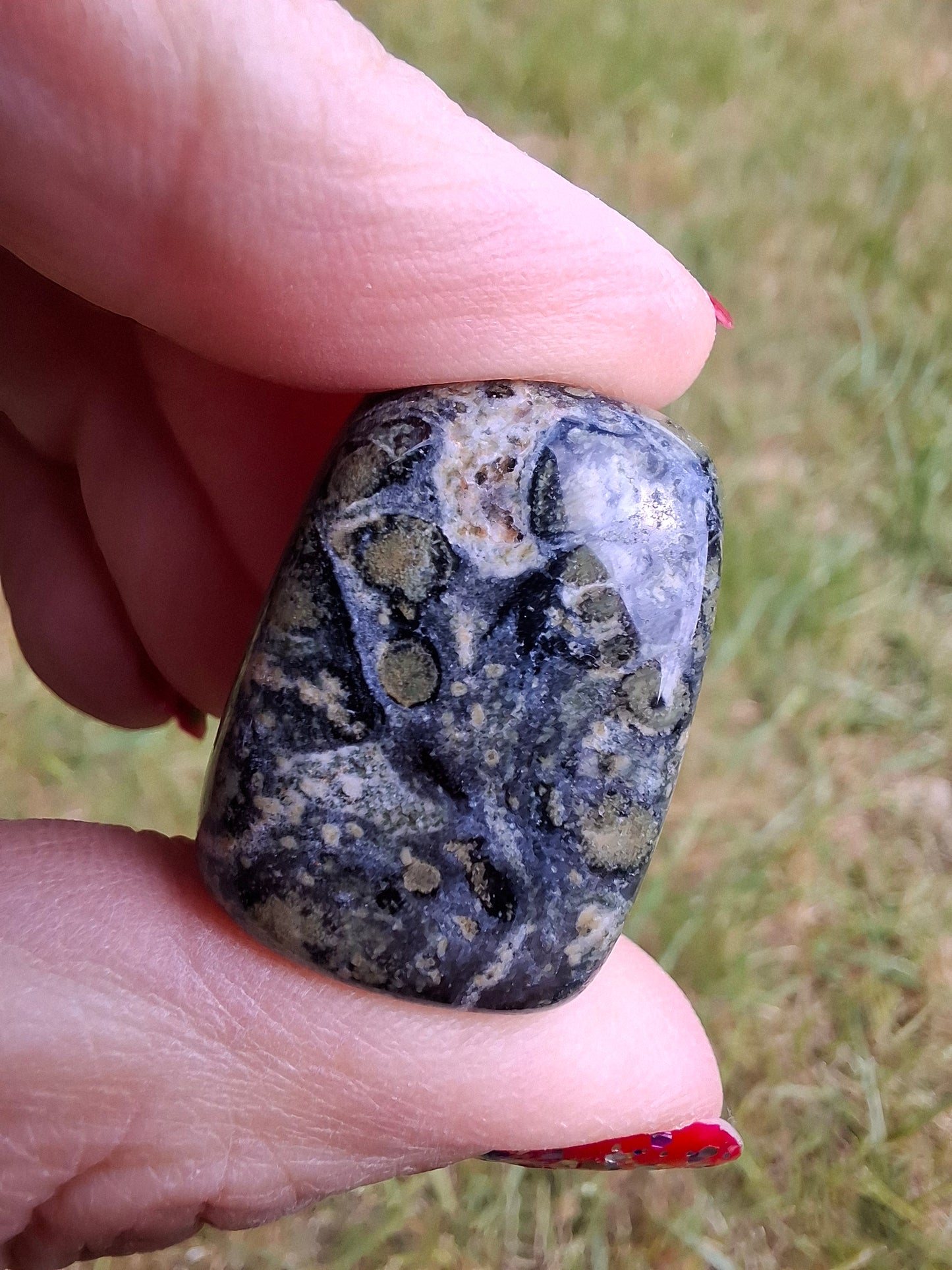 Kambaba Jasper, Tumble Stone, Crystal (Ref: T164)