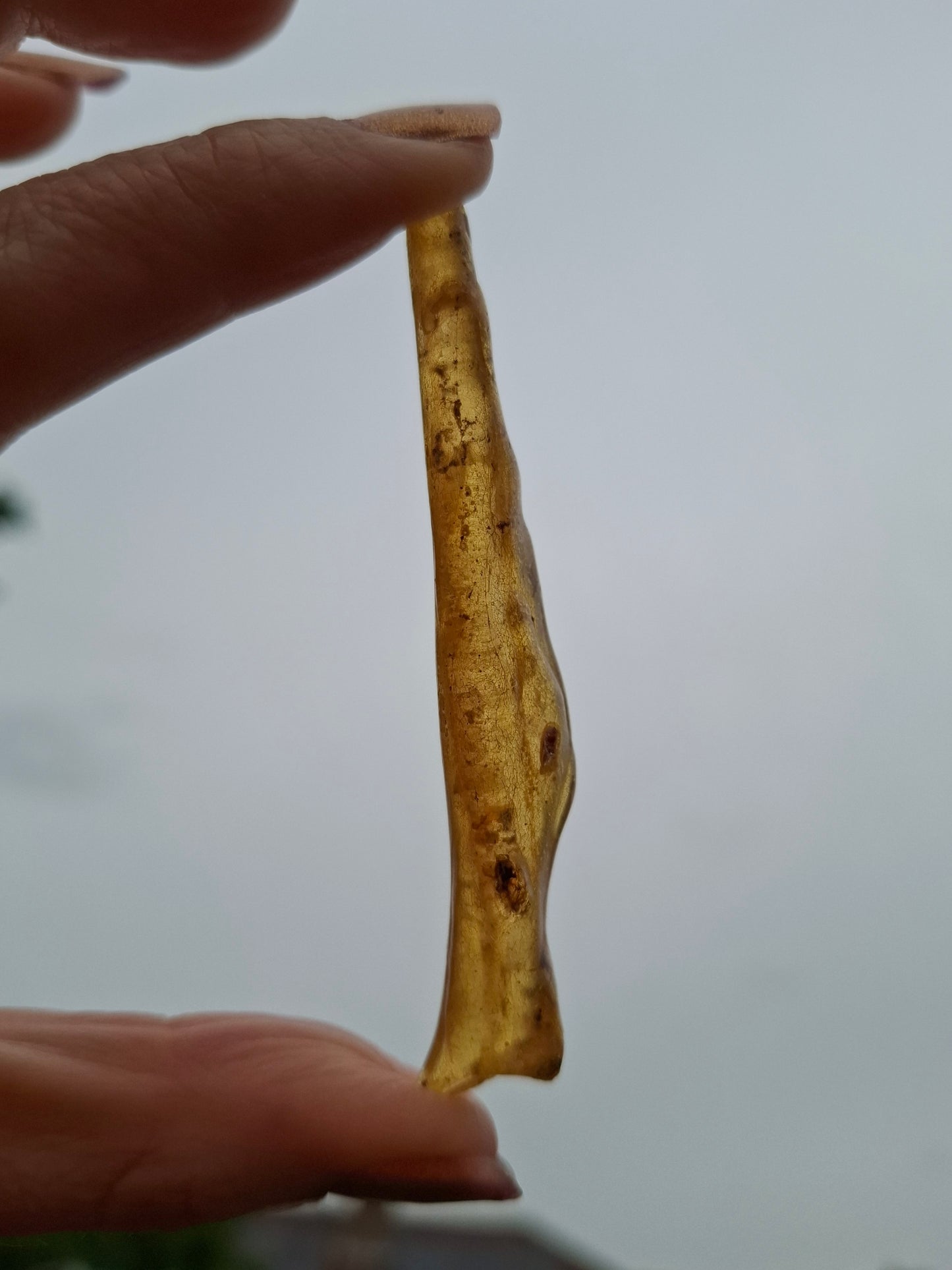 Copal Young Amber with INSECTS inside, 5.07g, Fossil (Ref: CA35)