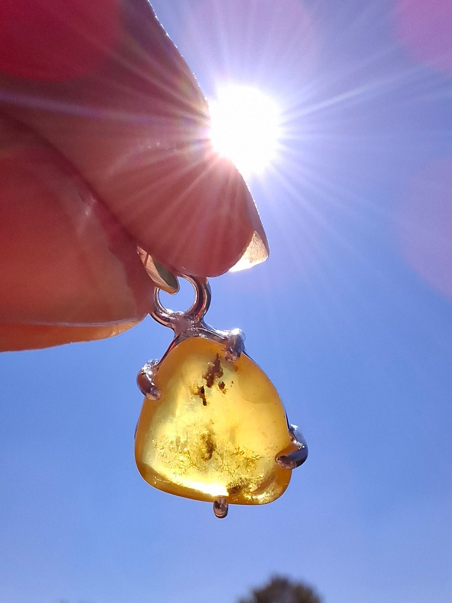 Baltic Amber Pendant, 925 Silver, Fossil (Ref: AP20)