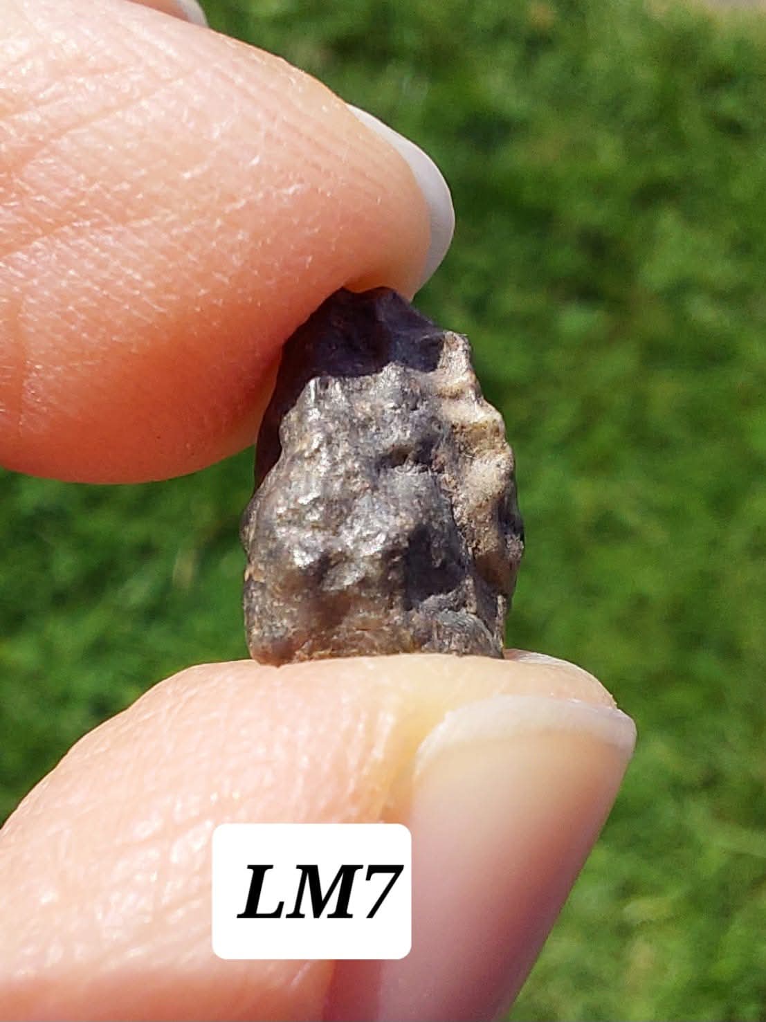 Lunar Meteorite, 0.83g, 'Moon Rock' (Ref: LM7)