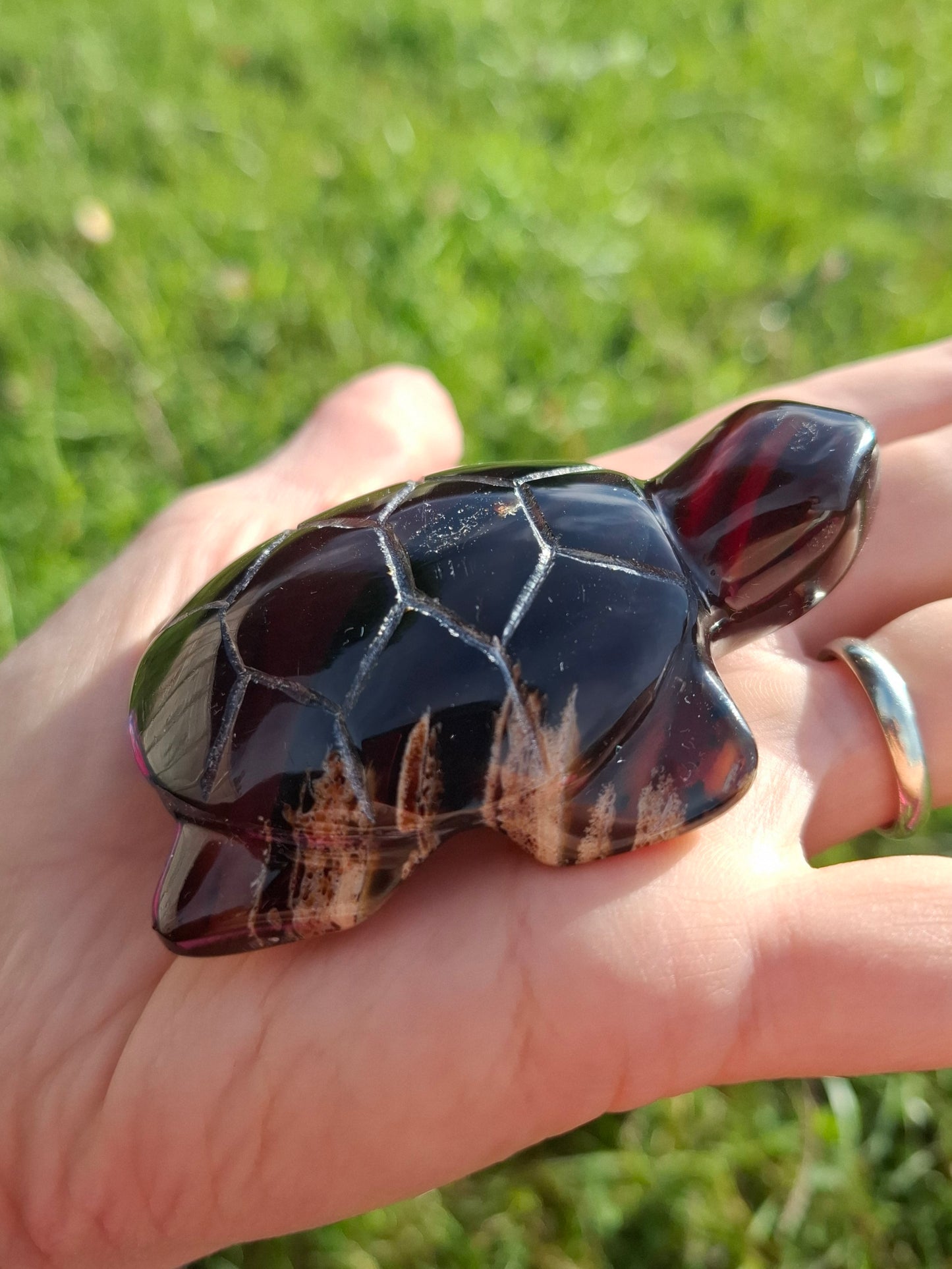 Red Amber Turtle, 47.85g, Carving, Fossil (Ref: TT4)