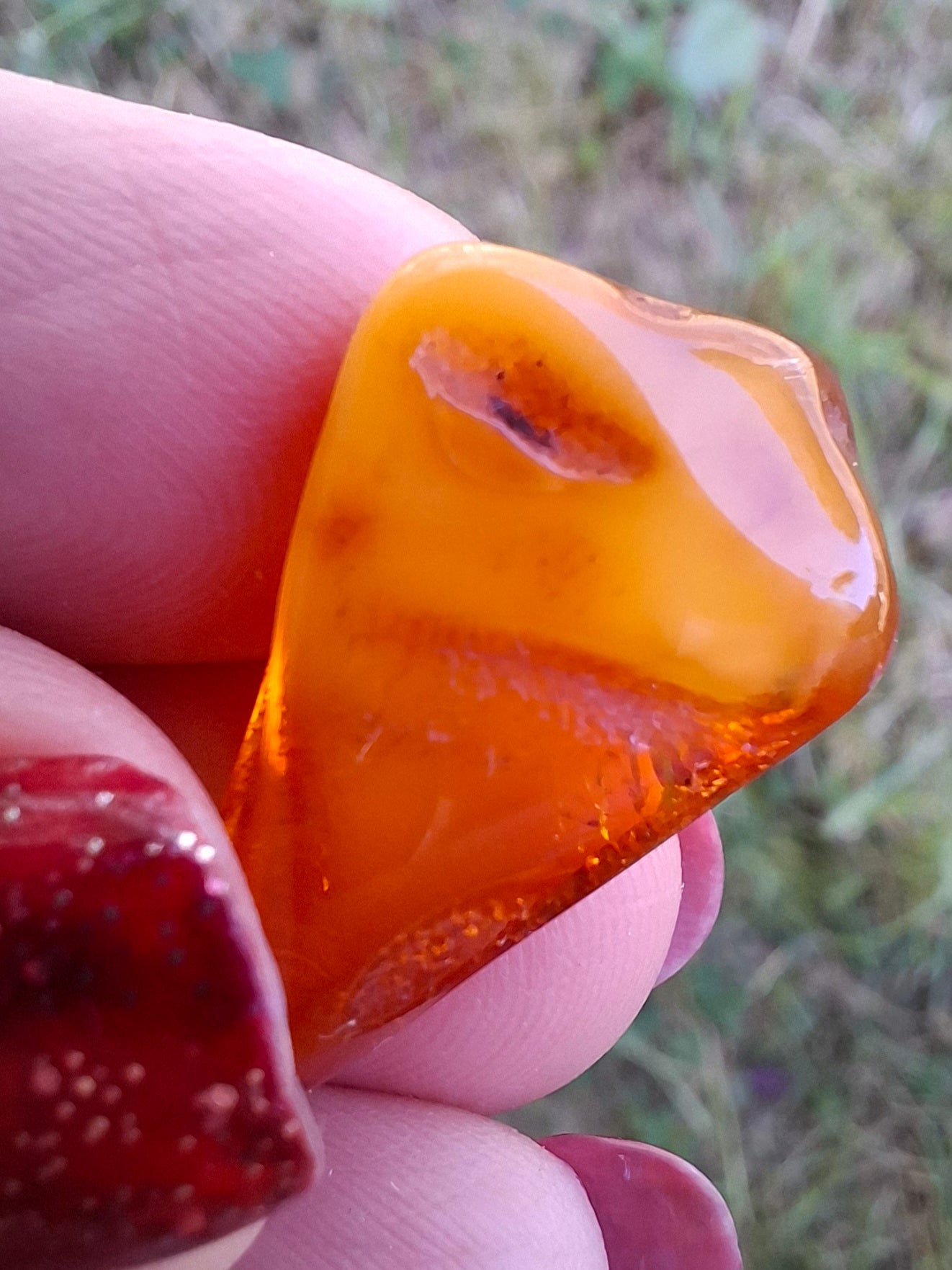 Baltic Amber, 1.52g, Fossil (Ref: A189)