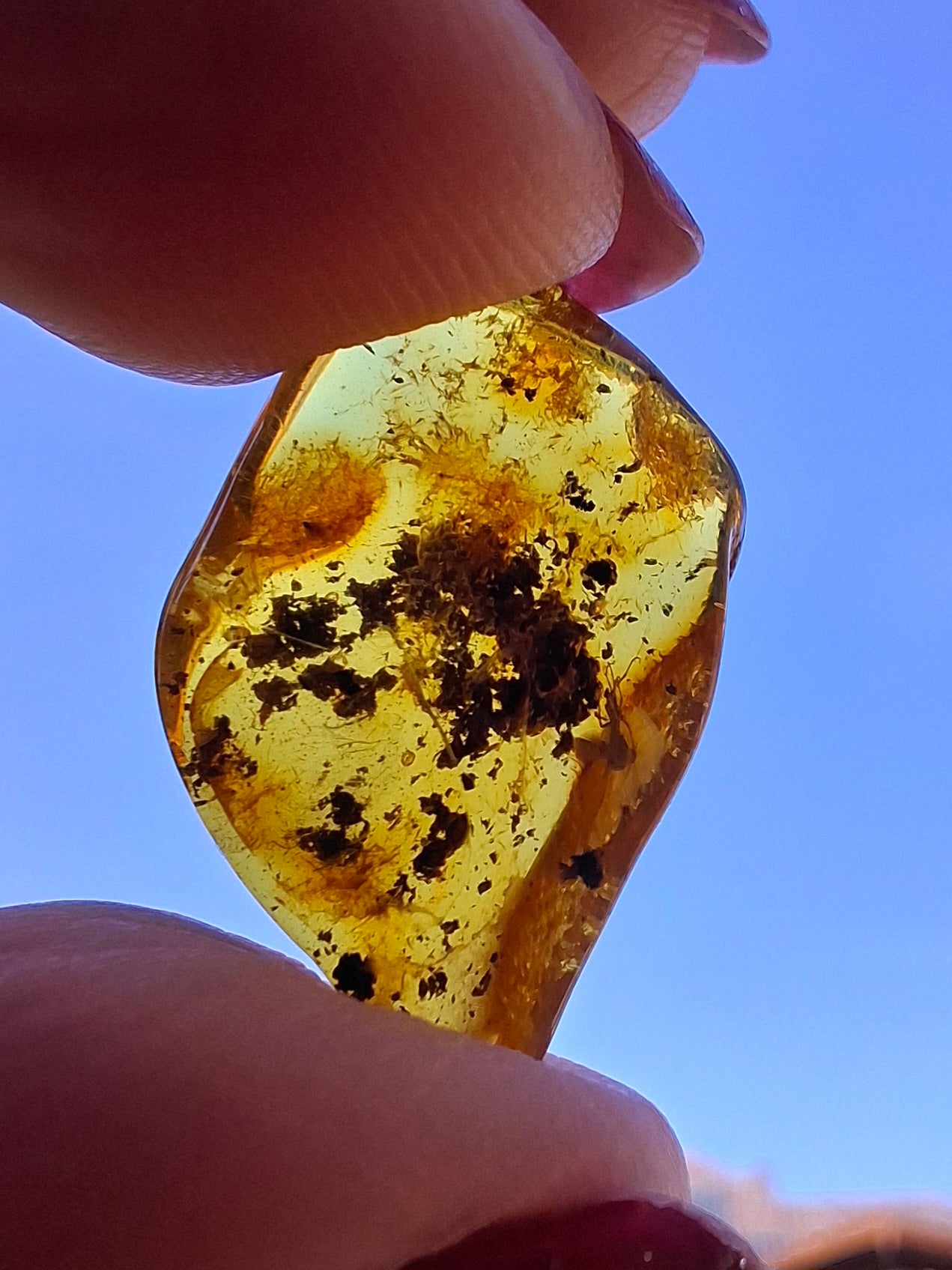 Baltic Amber, 1.13g, Fossil (Ref: A241)