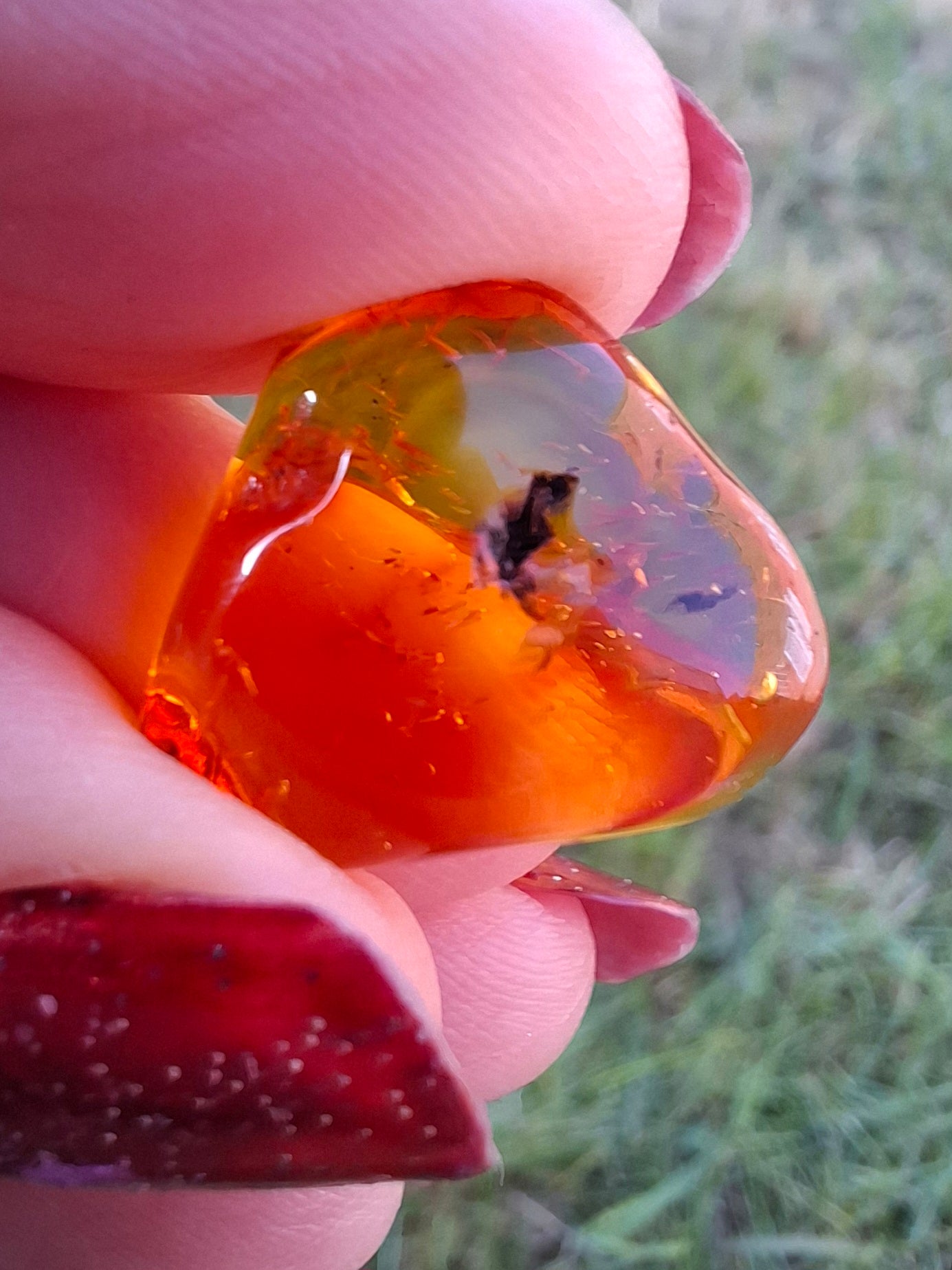 Baltic Amber, 0.97g, Fossil (Ref: A249)