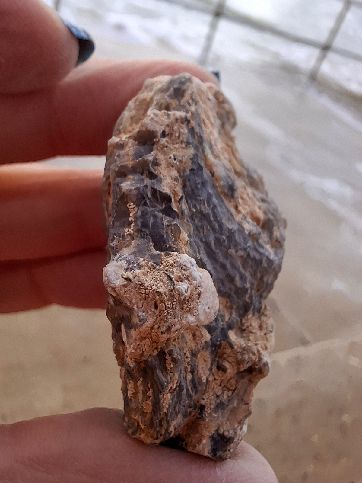 Chalcedony Oyster, Fossil (Ref: FO3)