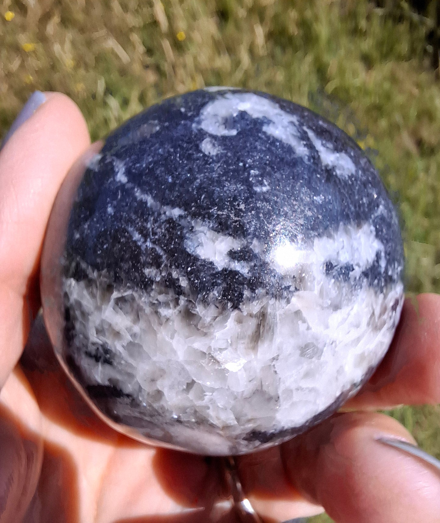 Orthoceras Sphere, Fossil (Ref: OS2)