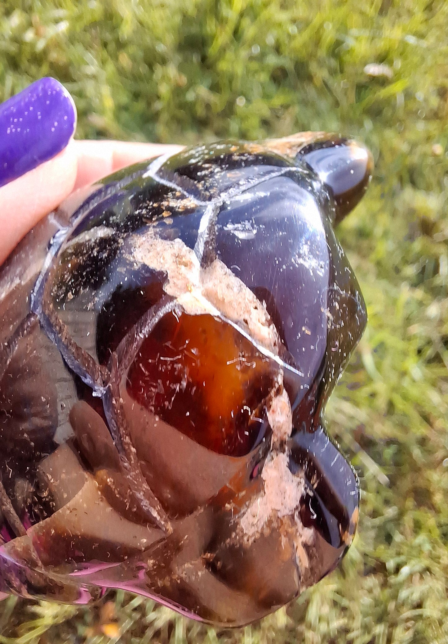 Red Amber Turtle, 50.00g, Carving, Fossil (Ref: TT6)