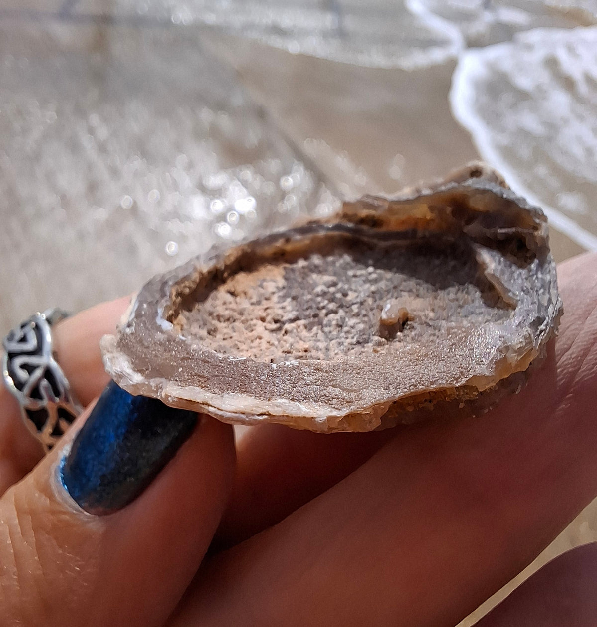 Chalcedony Oyster, Fossil (Ref: FO4)