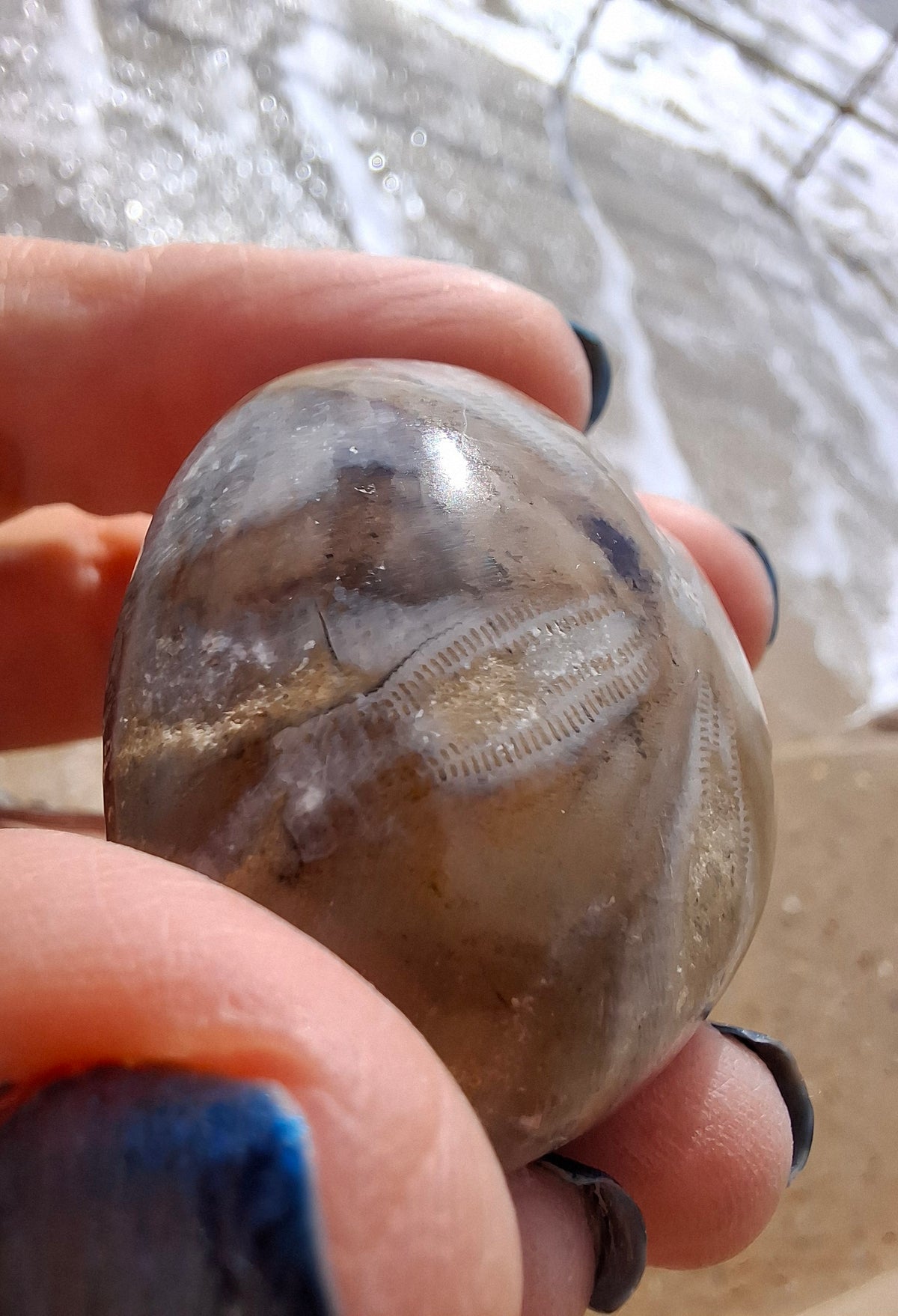 Polished Sea Urchin, Fossil (Ref: SU2)