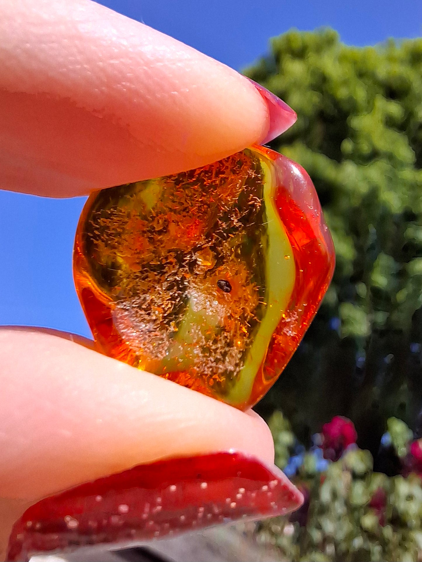 Baltic Amber, 1.12g, Fossil (Ref: A111)