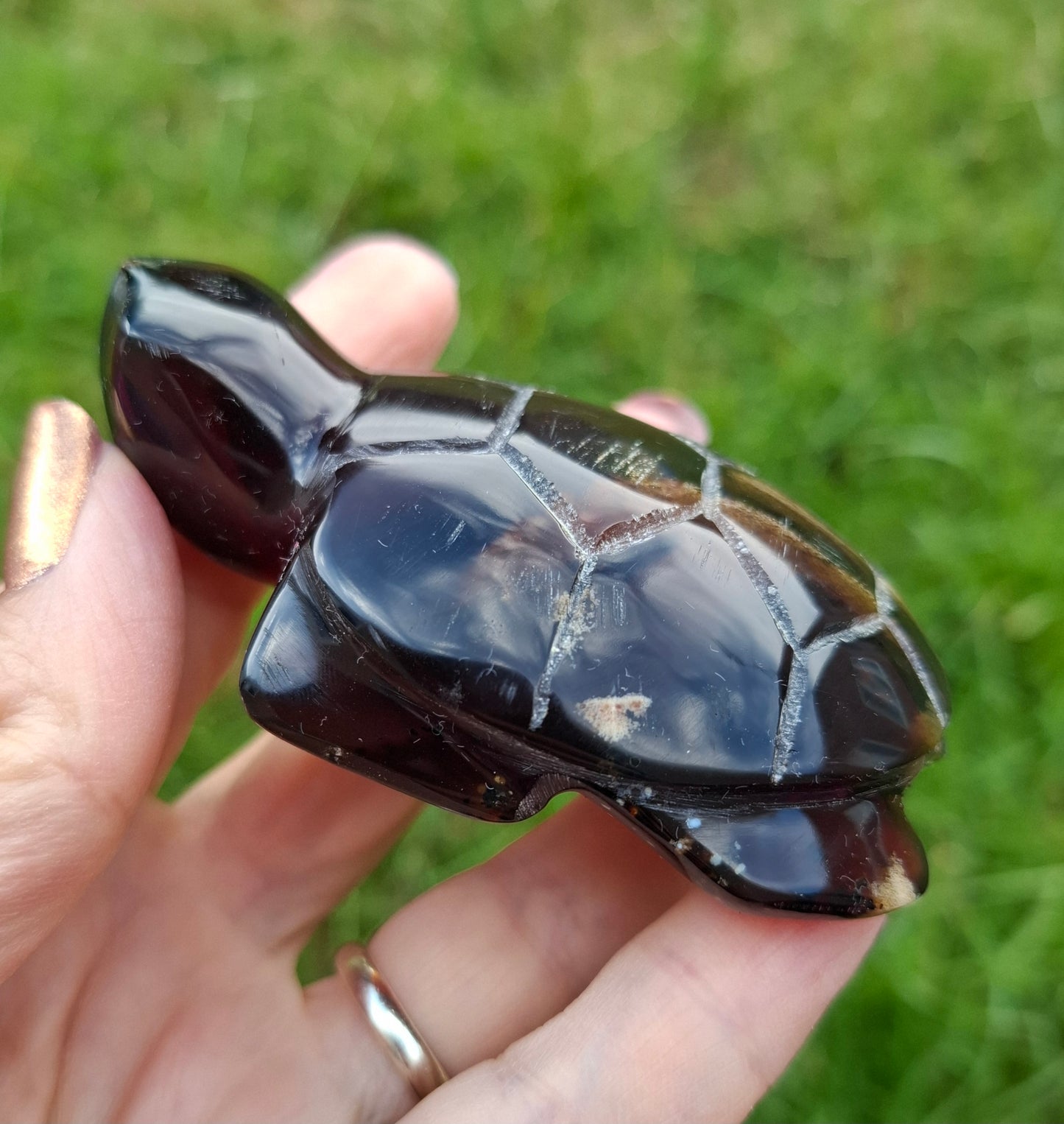 Red Amber Turtle, 52.00g, Carving, Fossil (Ref: TT3)