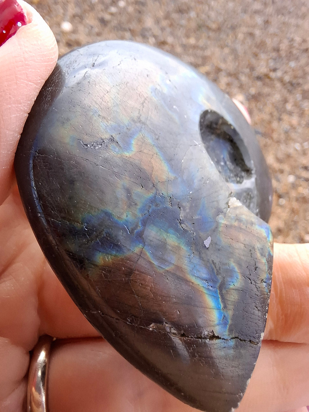 Labradorite Ammonite Carving, 89.31g, Crystal (Ref: laba6)