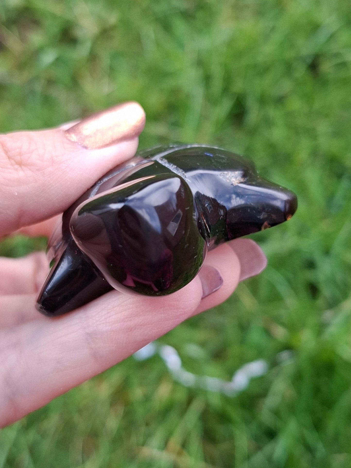 Red Amber Turtle, 47.85g, Carving, Fossil (Ref: TT4)