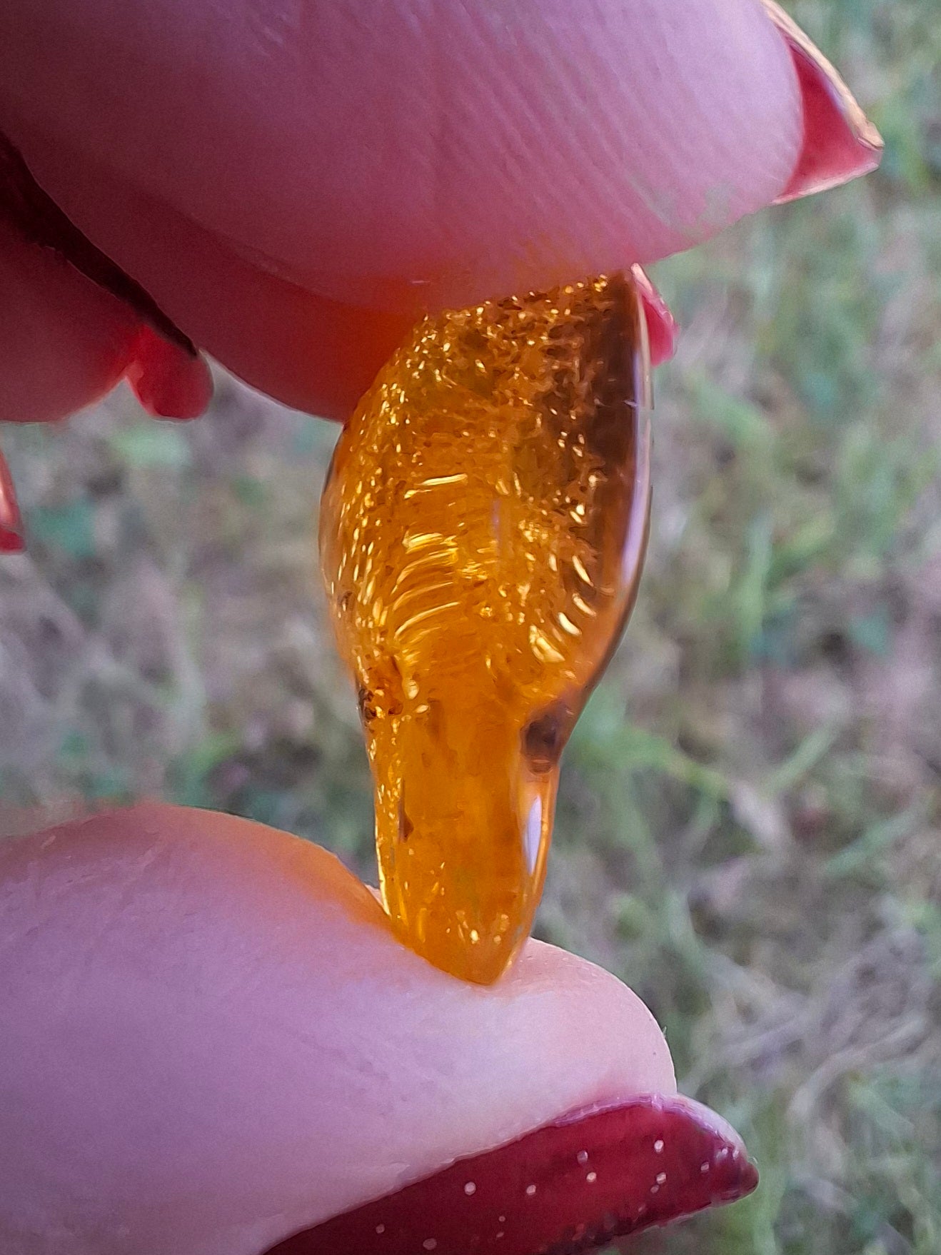 Baltic Amber, 1.45g, Fossil (Ref: A76)