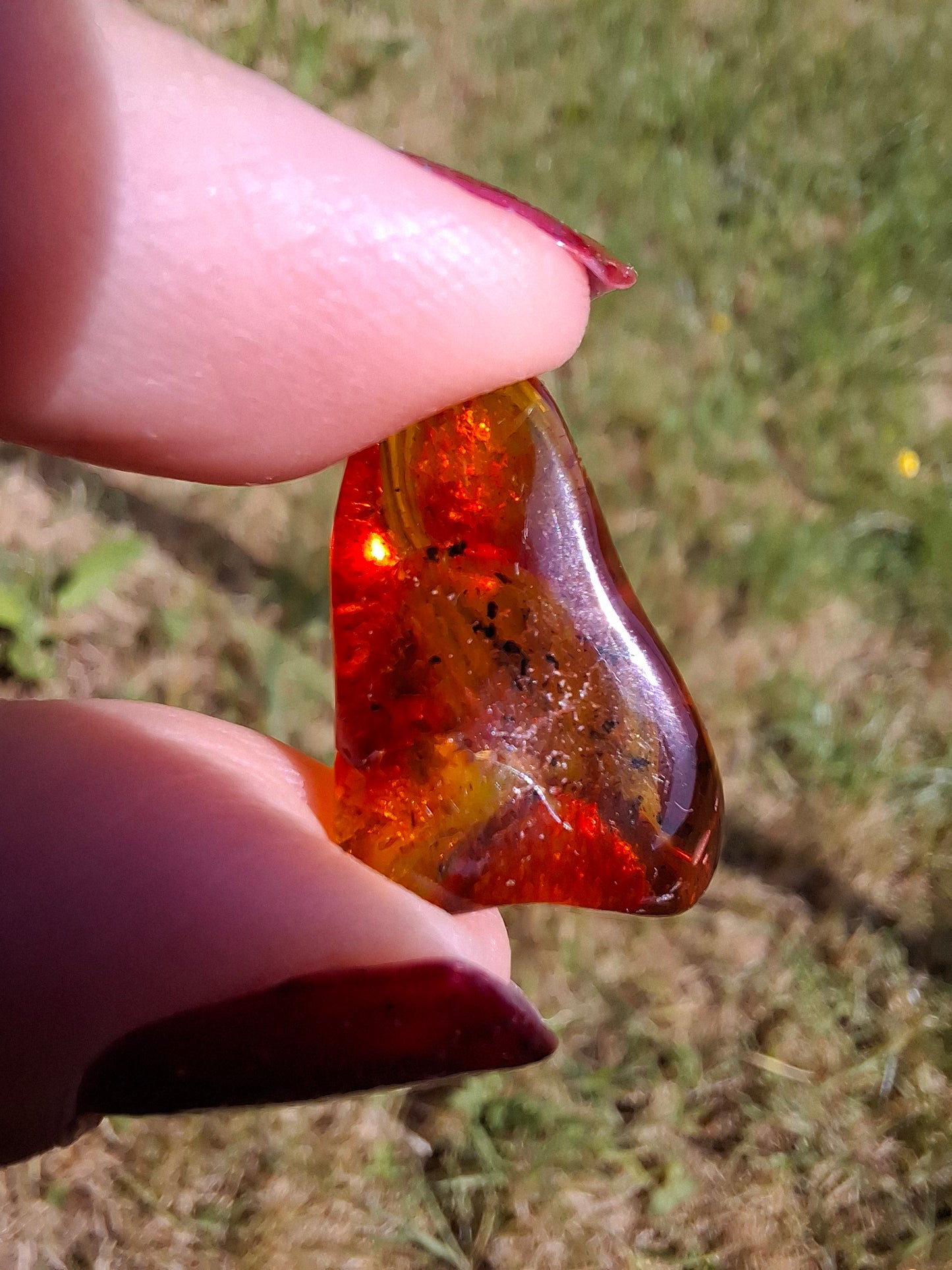 Baltic Amber, 1.47g, Fossil (Ref: A238)