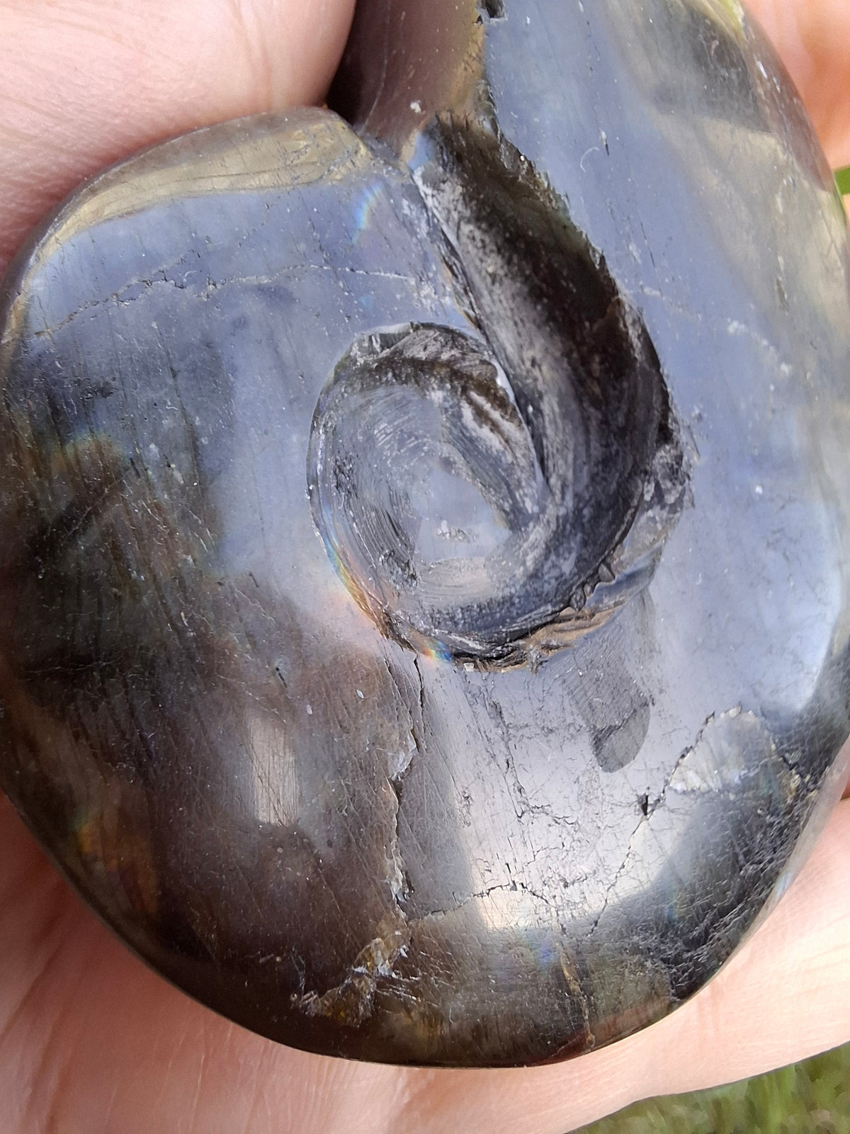 Labradorite Ammonite Carving, 153.97g, Crystal (Ref: laba2)