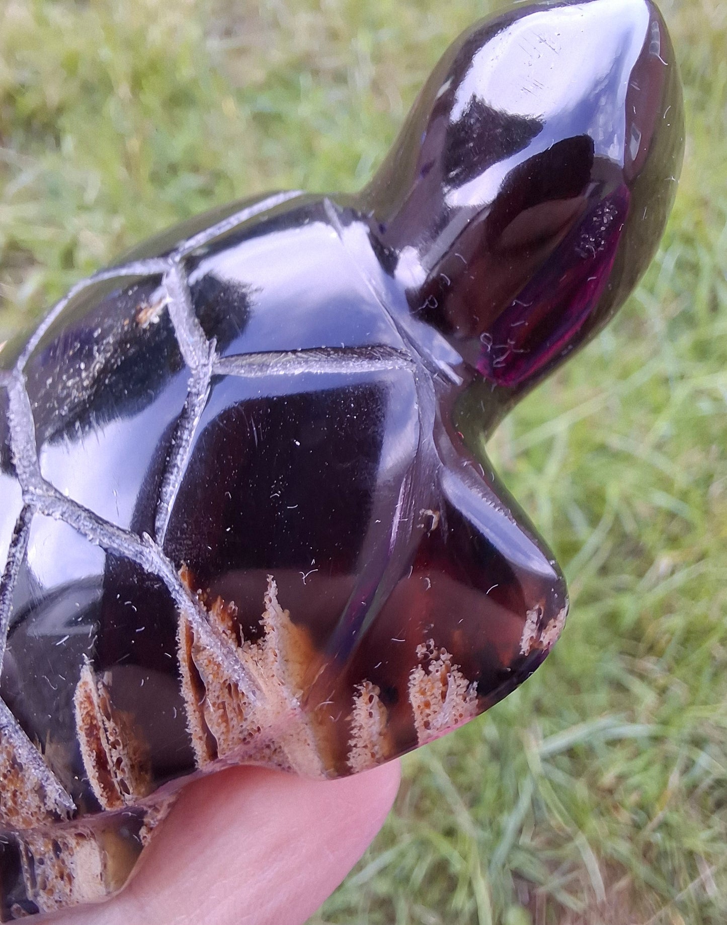 Red Amber Turtle, 47.85g, Carving, Fossil (Ref: TT4)
